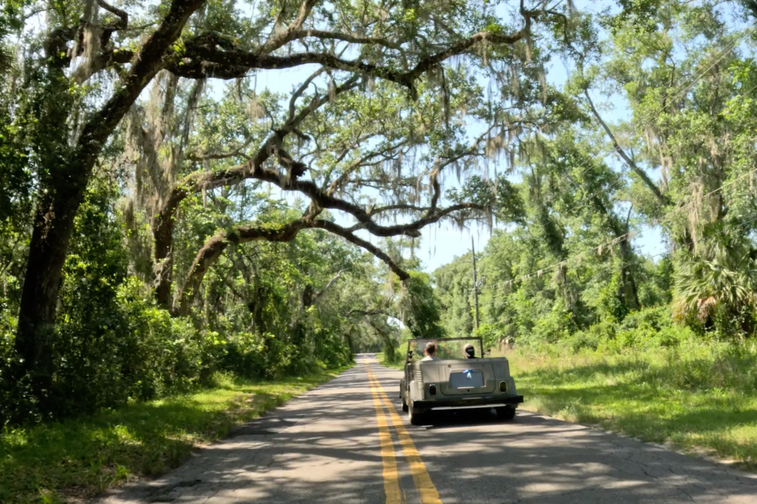 A vintage military jeep driving down a tree-lined rural road with green foliage and partially hanging Spanish moss overhead.
