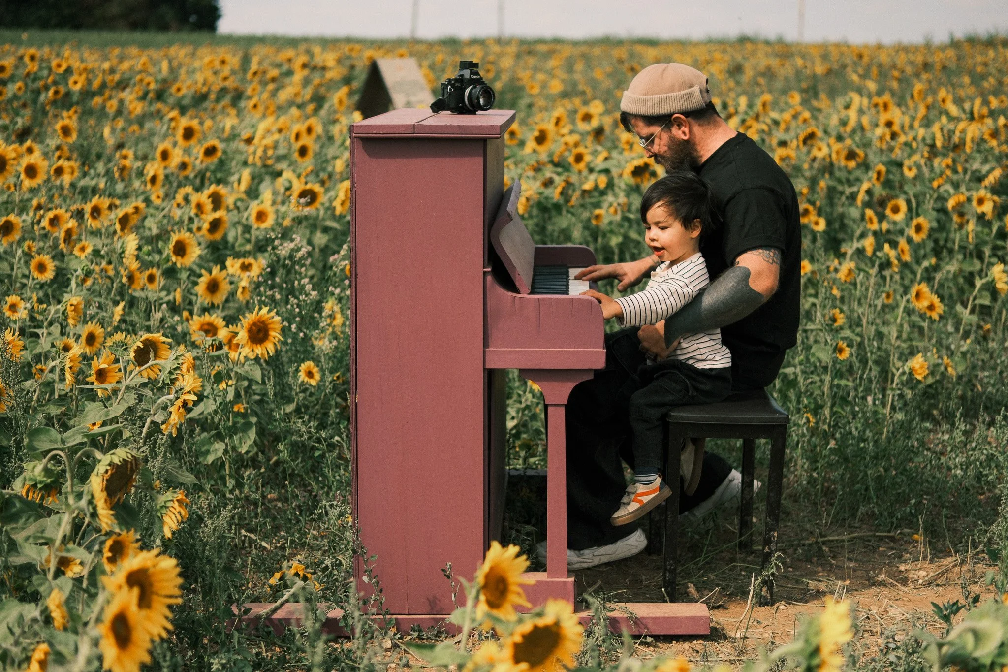 A man and a young boy playing a pink upright piano outdoors in a sunflower field. The man is wearing a beige beanie and glasses, while the boy is wearing a striped shirt. A camera is placed on top of the piano.