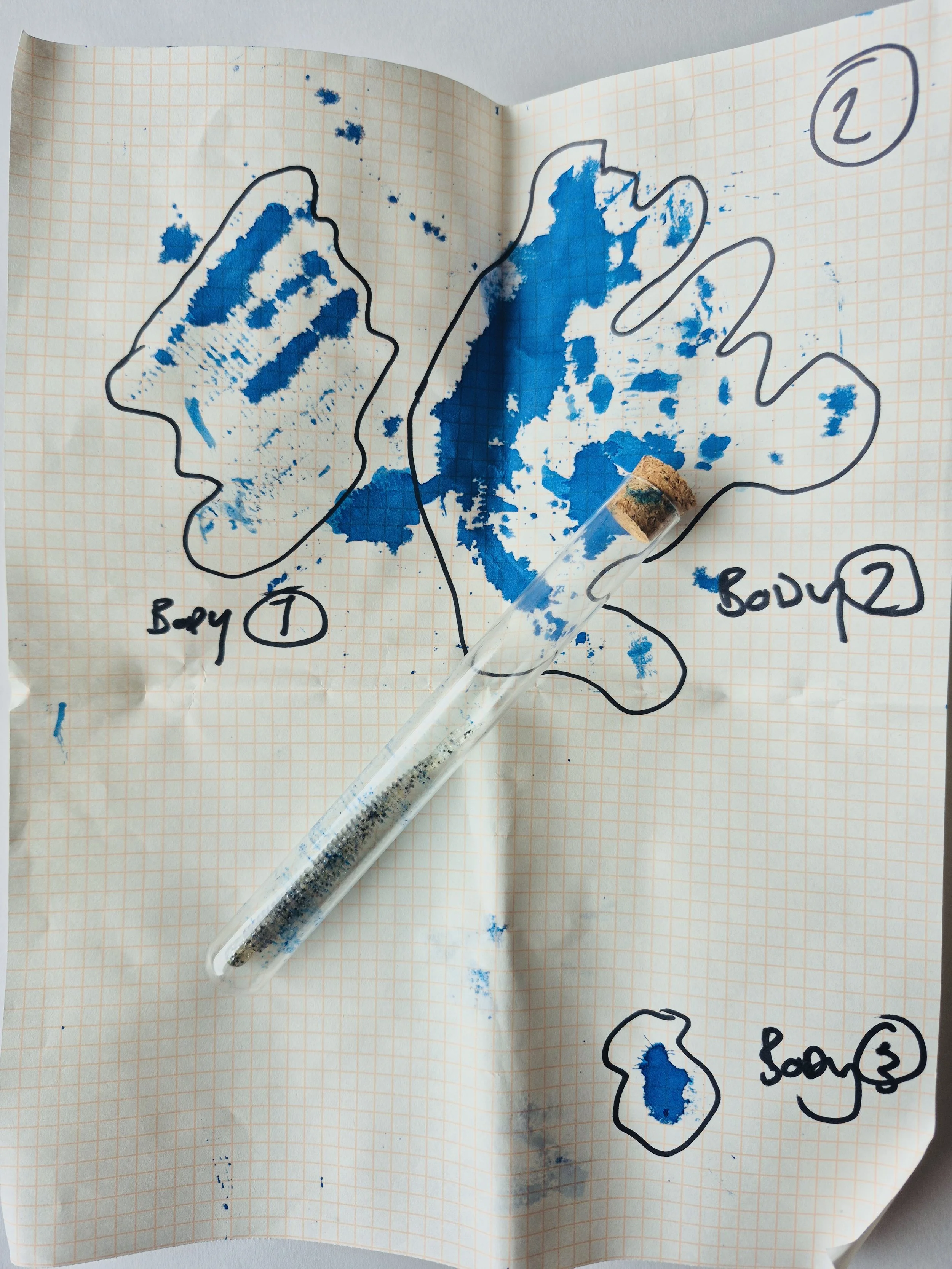 Case 1: Shame bioluminessence traces seen under blue light at ordered shore locations