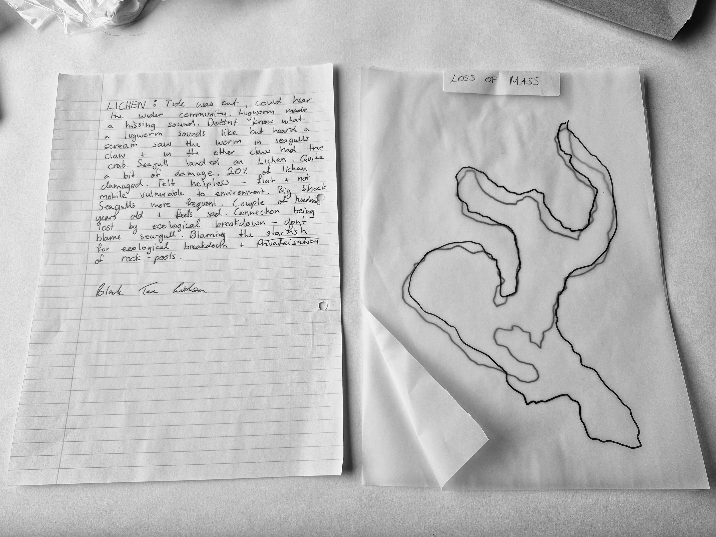 Case 3: Black Tar Lichen Statement & Lichen Loss of Mass Map. paper/pen/tracing paper