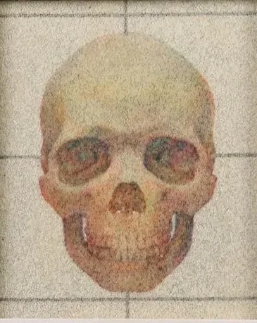 Drawing of a human skull on graph paper.