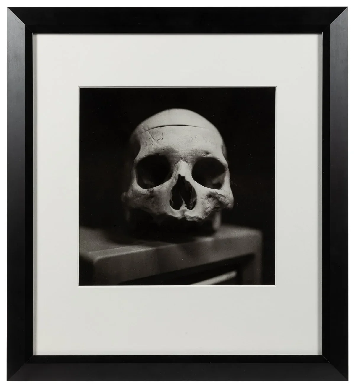 Black and white photograph of a human skull resting on a wooden surface, framed in black