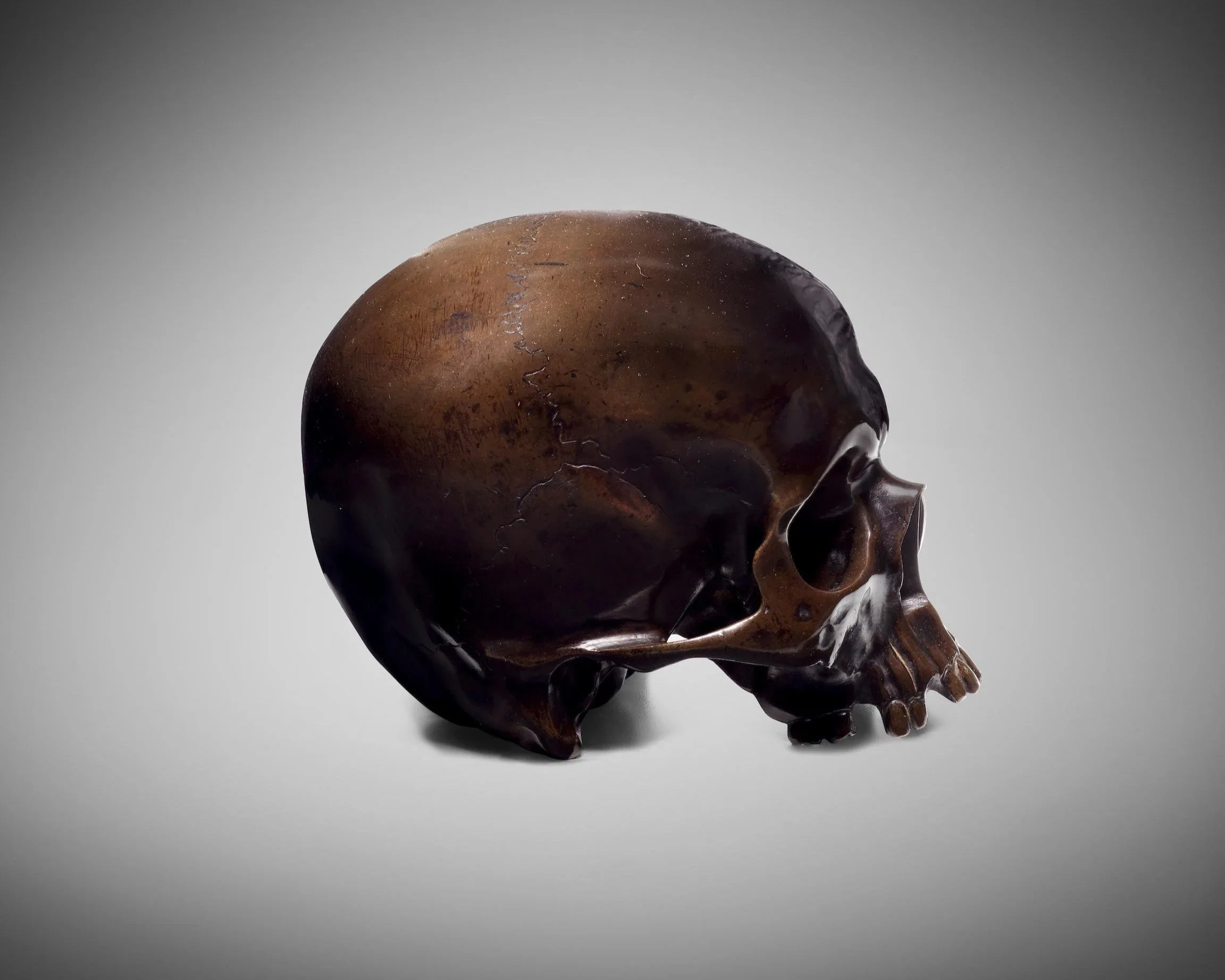 Dark bronze model of a human skull shown in profile against a shadowed gray ground