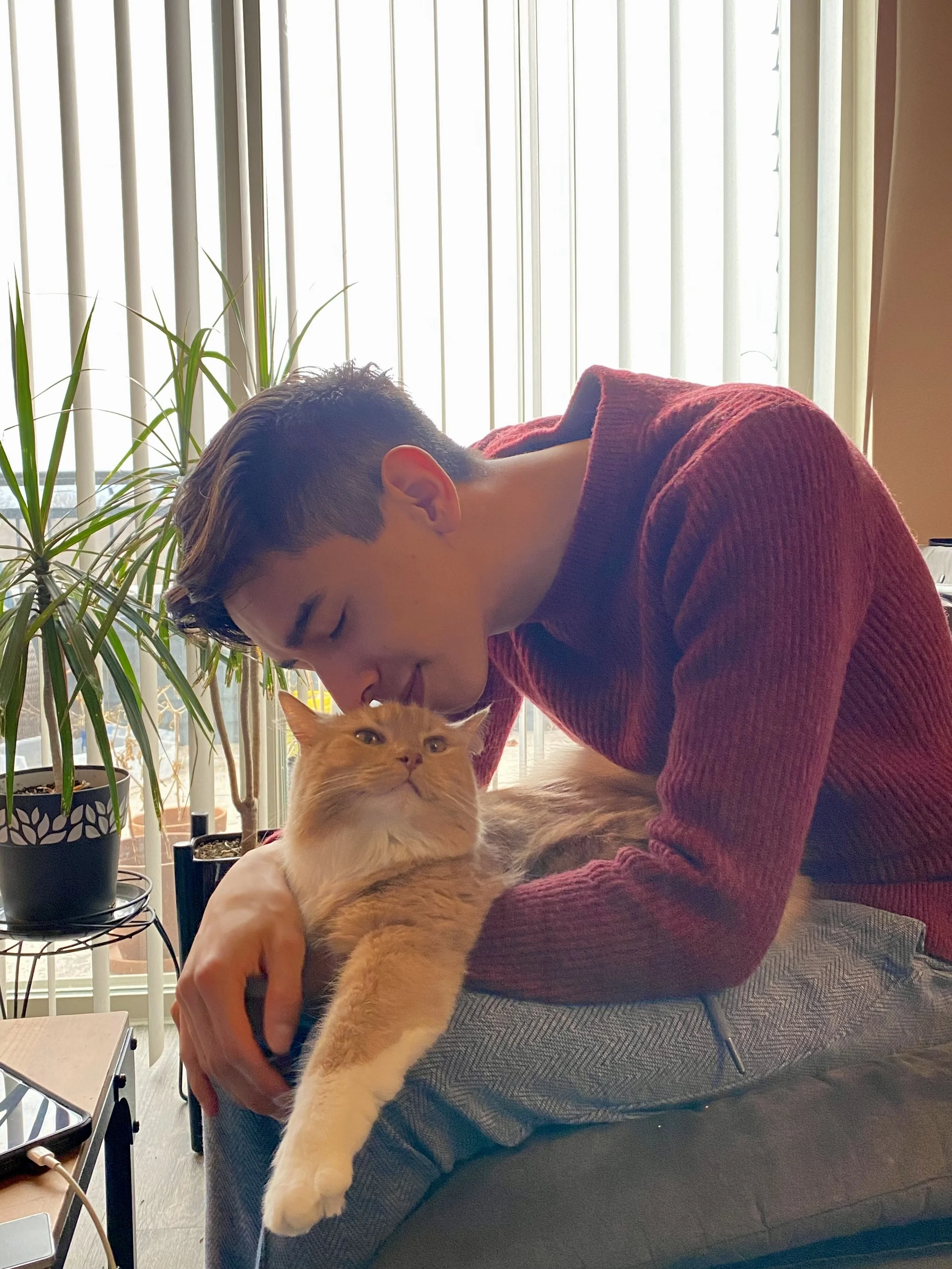 A person with short brown hair wearing a red sweater is sitting on a gray chair and leaning forward to pet a ginger cat on their lap. They are indoors near a window with vertical blinds, and there are potted plants nearby.