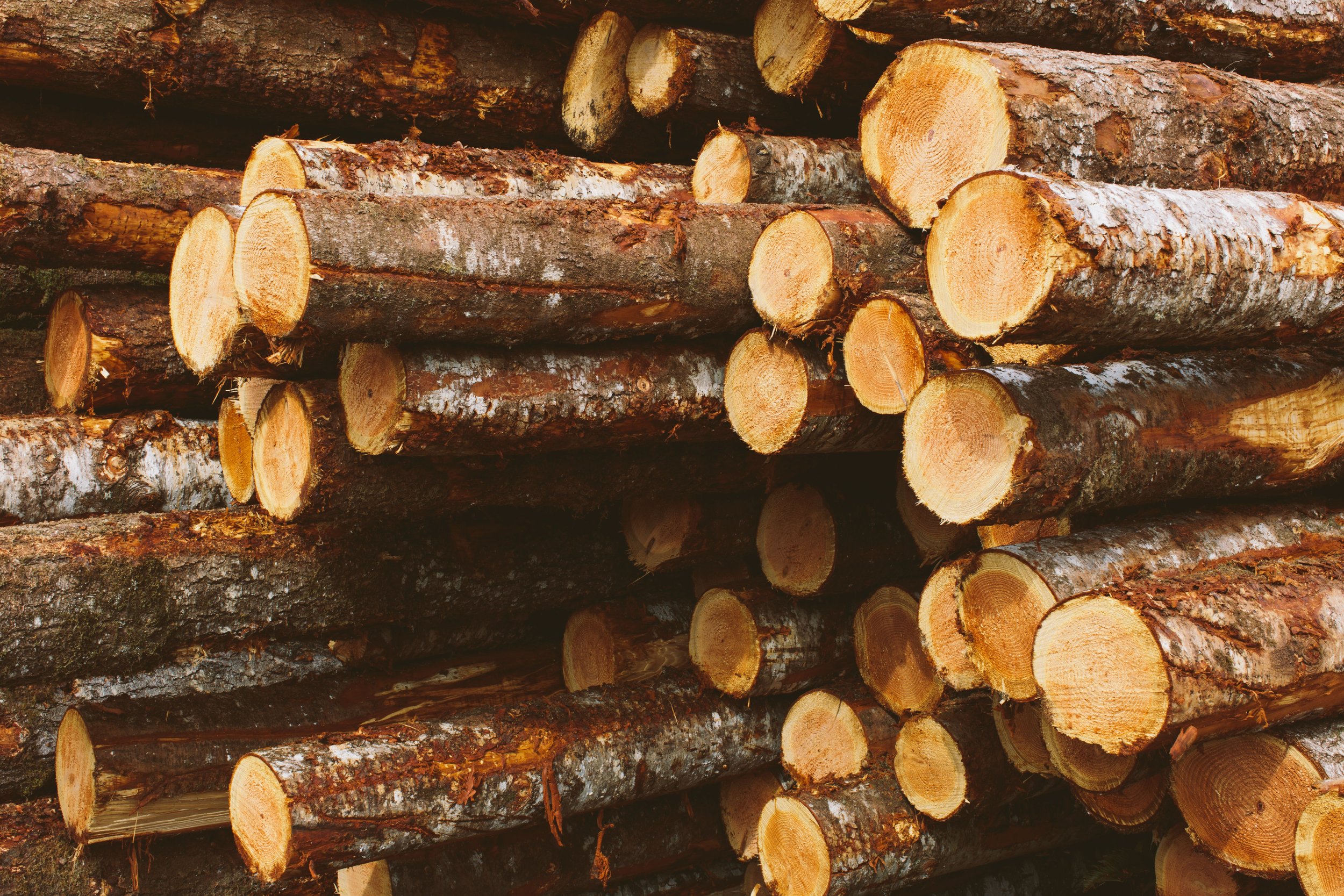 NZ Super Fund Re-Ups on U.S. Timberland, Lifting Domain Mandate to $200 Million