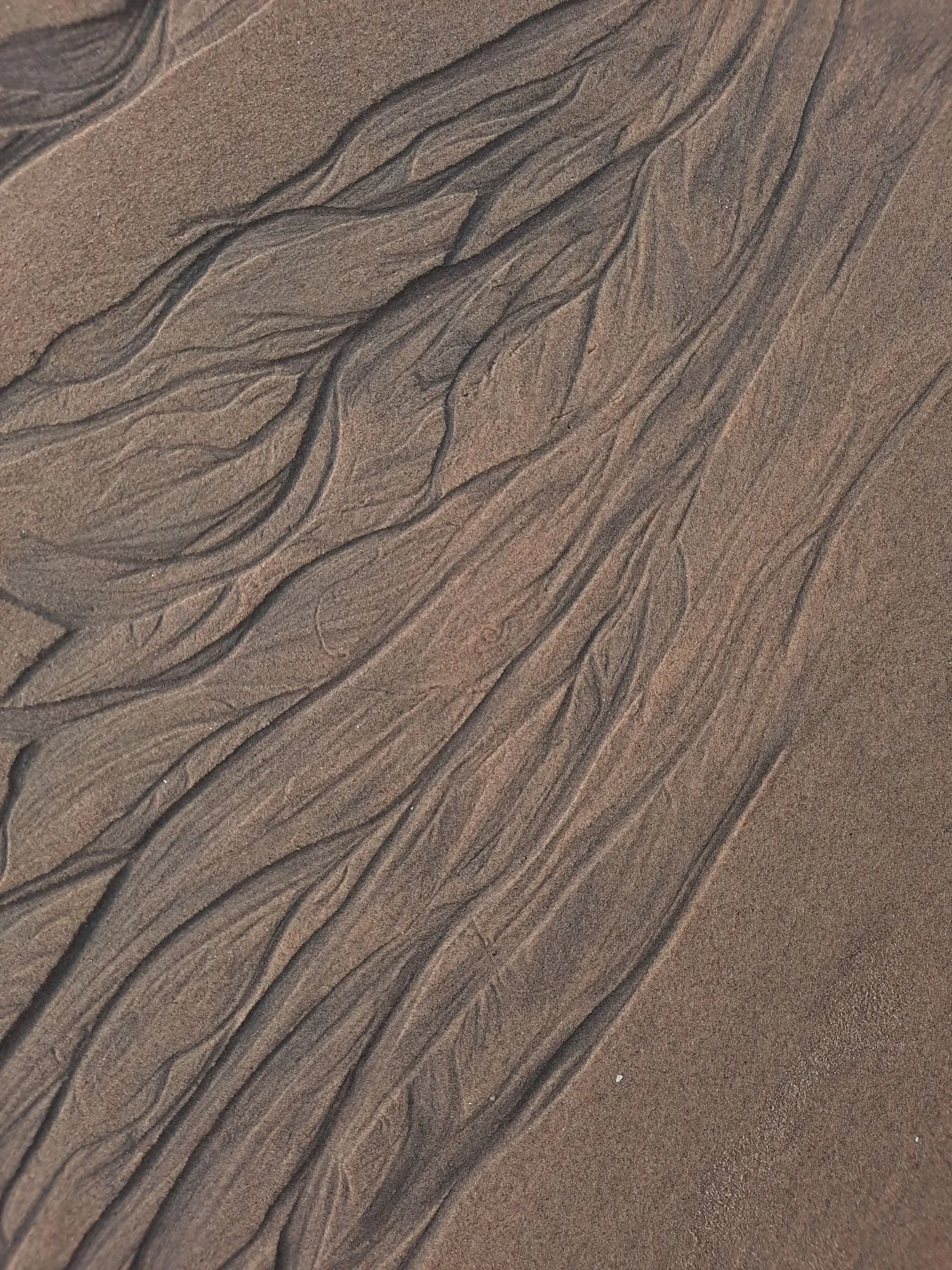 Close-up of sand with dark, narrow, winding patterns resembling flowing water or natural formations.