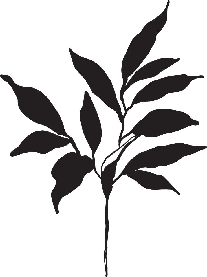 Silhouette of a leafy plant or branch with multiple elongated leaves.