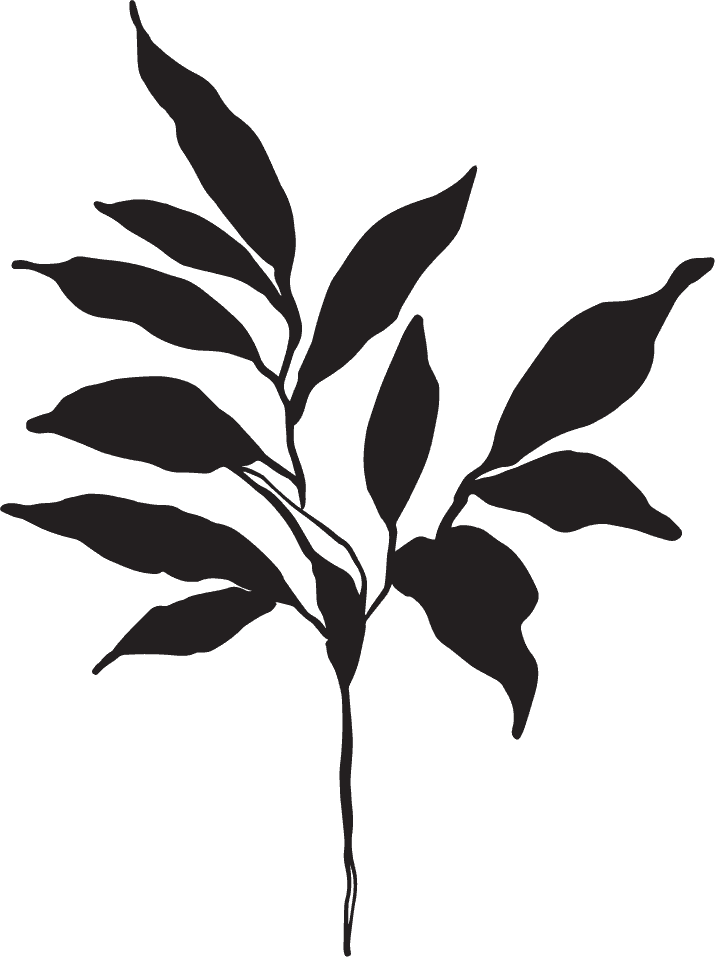 A black silhouette of a leafy branch with multiple elongated leaves against a white background.