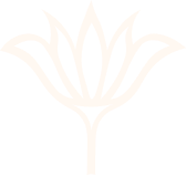 Line drawing of a stylized flower with pointed petals