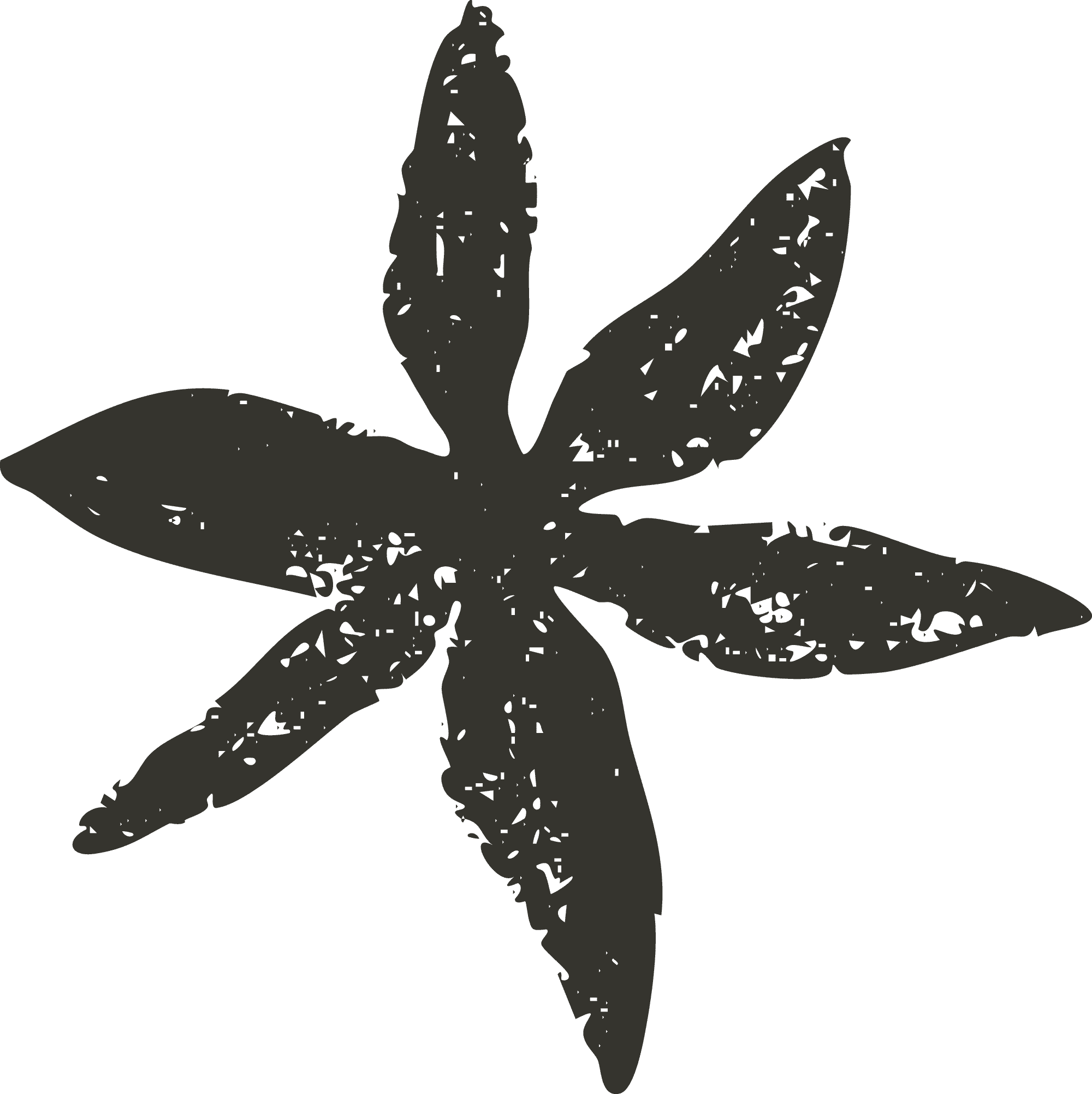 A line drawing of a flower with large petals and a prominent center.
