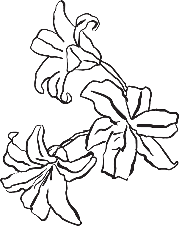 Outline drawing of three flowers on a black background.