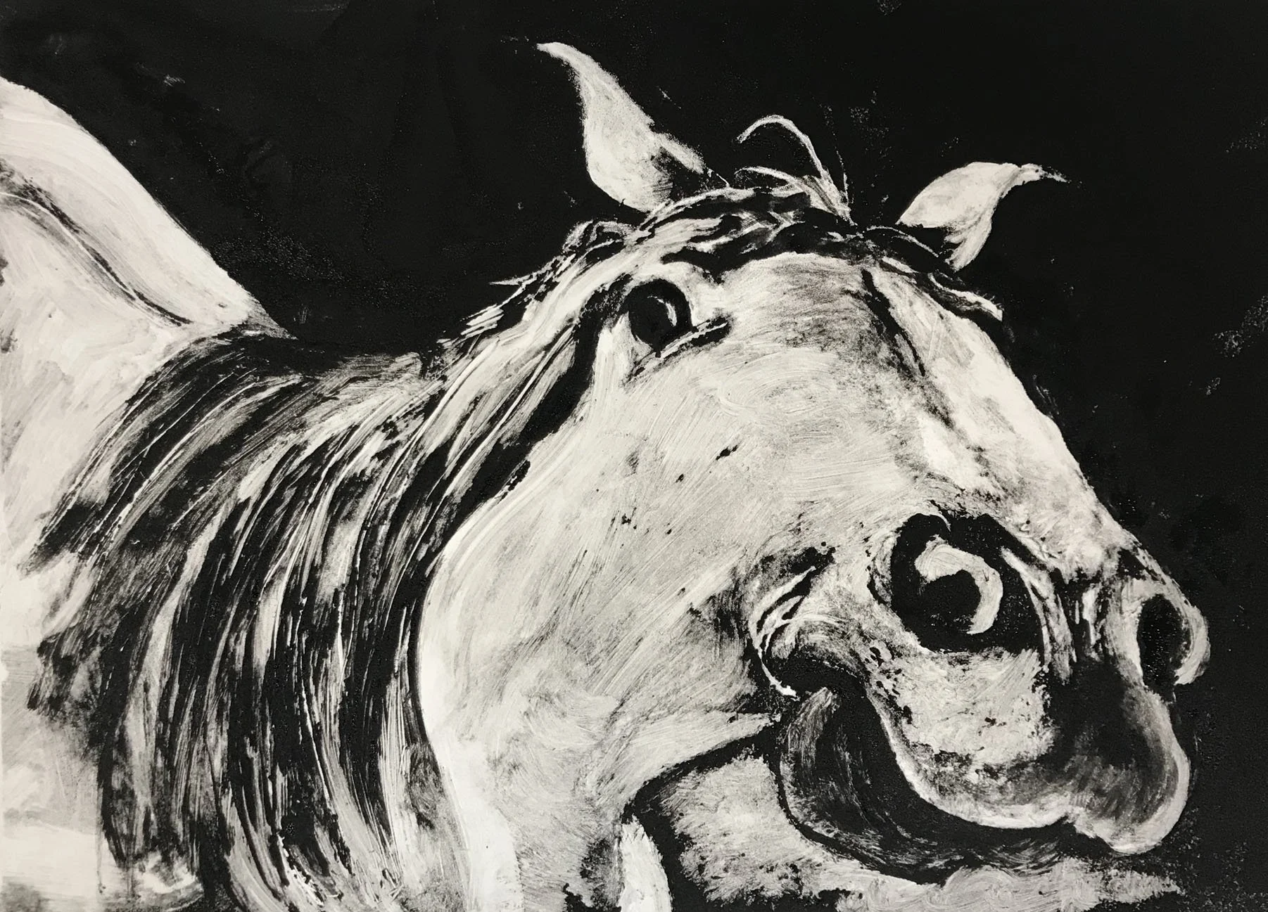 "Hello", Dark Field Monotype, 13.5"x9..75"