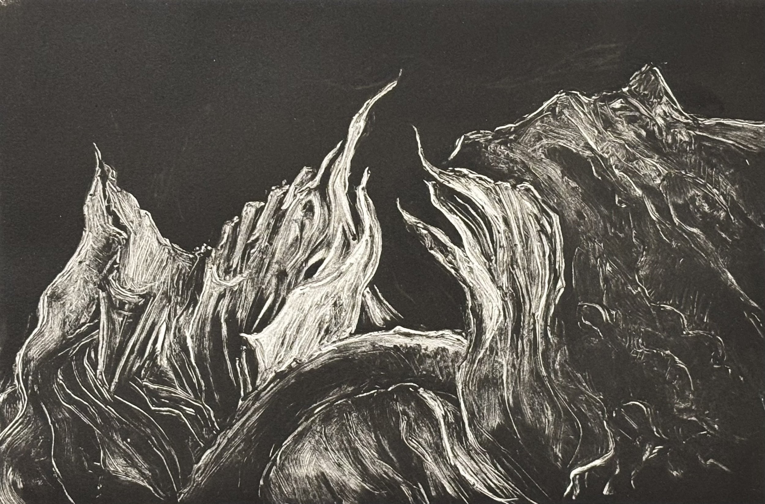 Roots