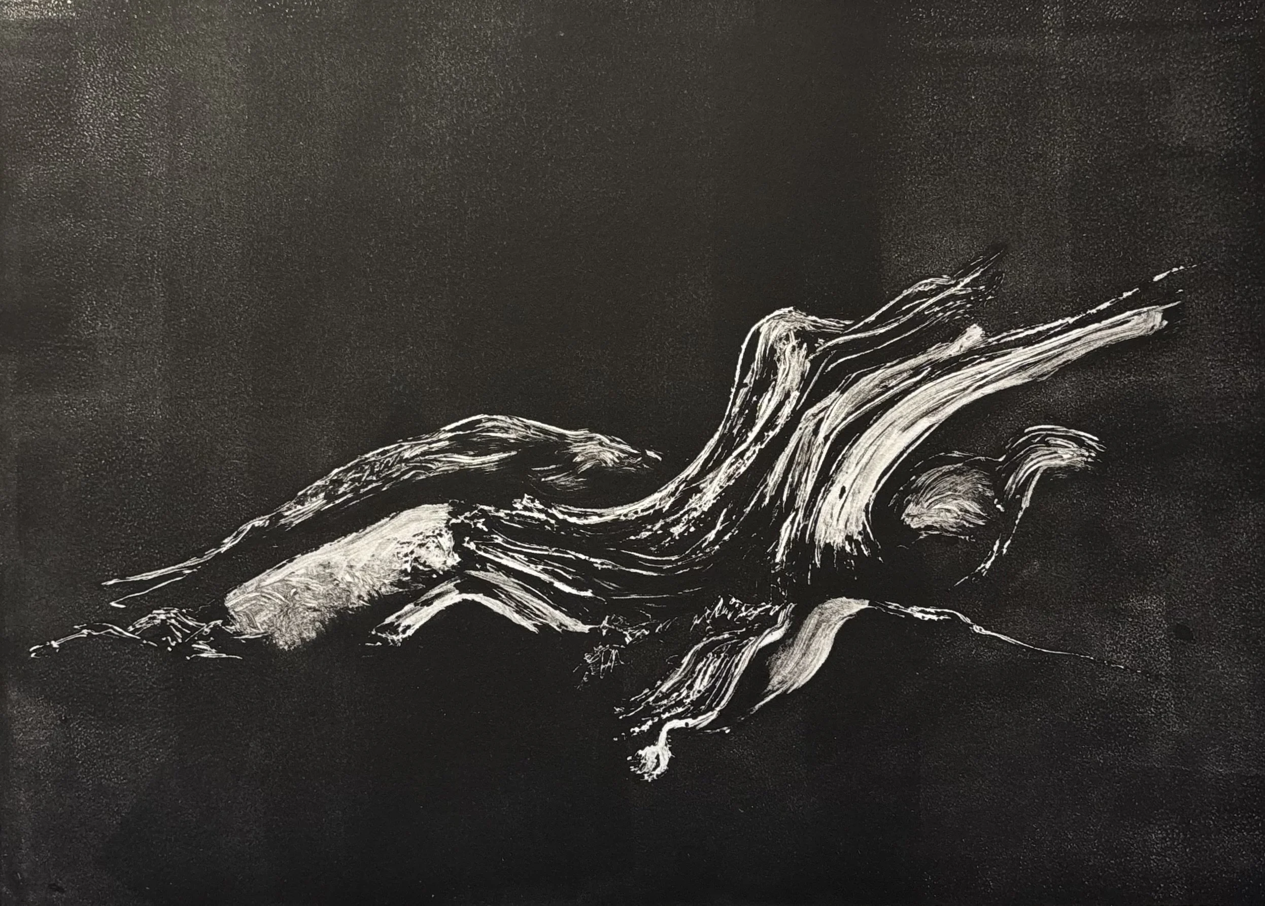 Rooted,
Dark Field Monotype, 13.5"x9.75"
