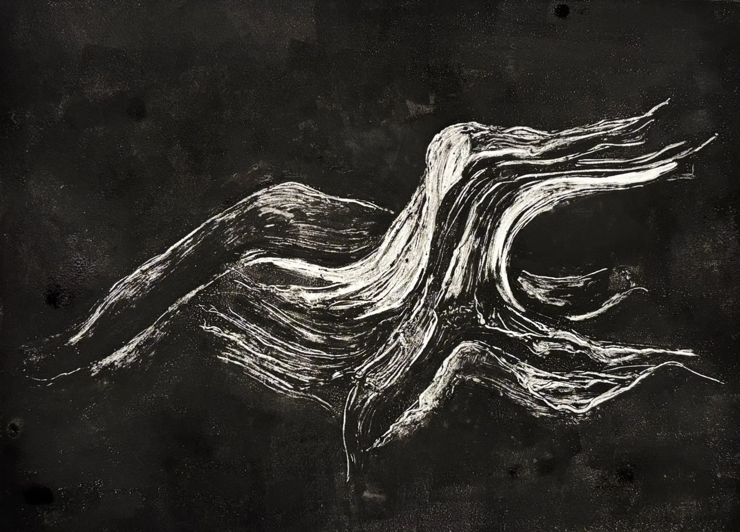 Found 2, Dark Field Monotype, 11.75"x7.75"