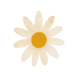 A single white daisy with a yellow center against a transparent background.