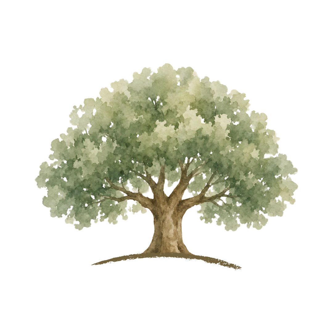 Written Roots Gift Certificate