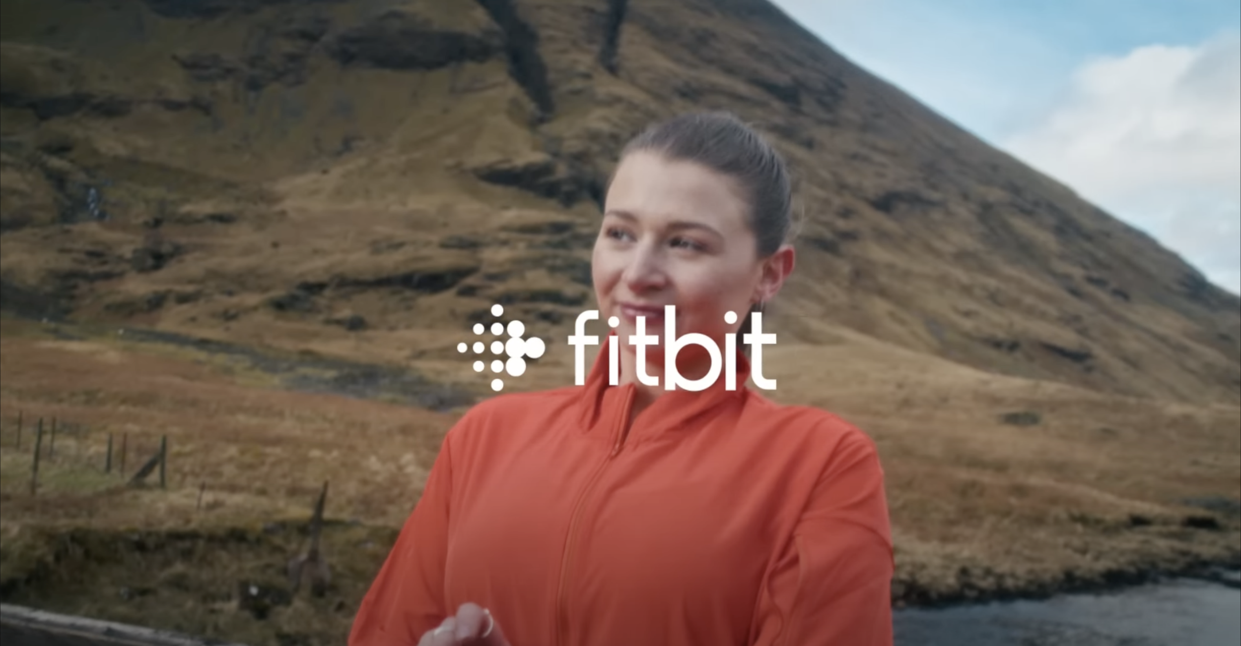 FITBIT USER STORIES