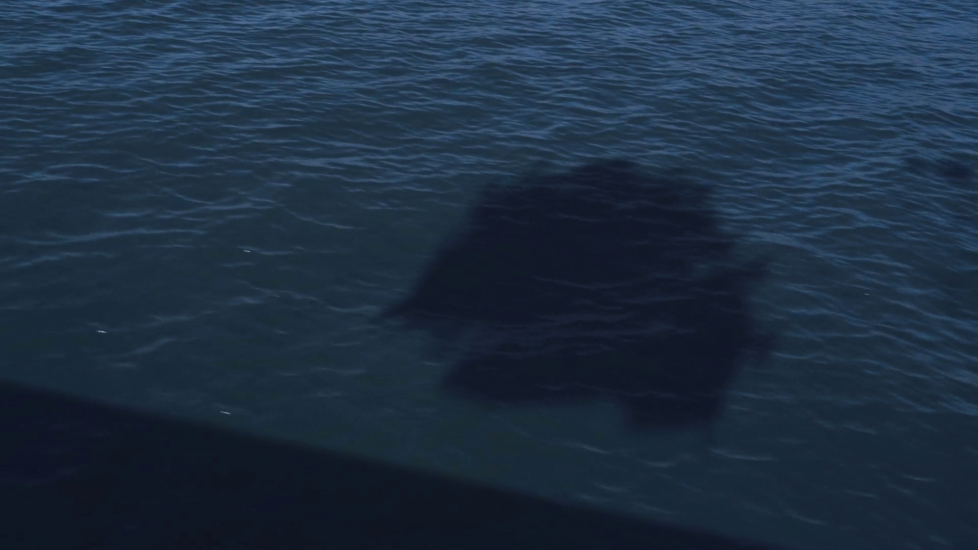 vlcsnap-2026-10-01-11h39m54s016.png