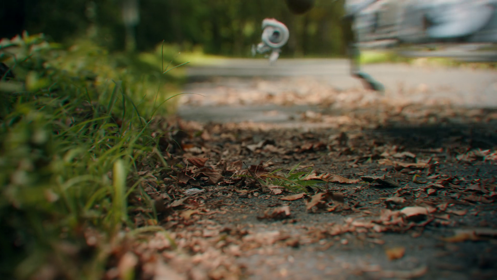 vlcsnap-2026-10-01-11h39m35s166.png