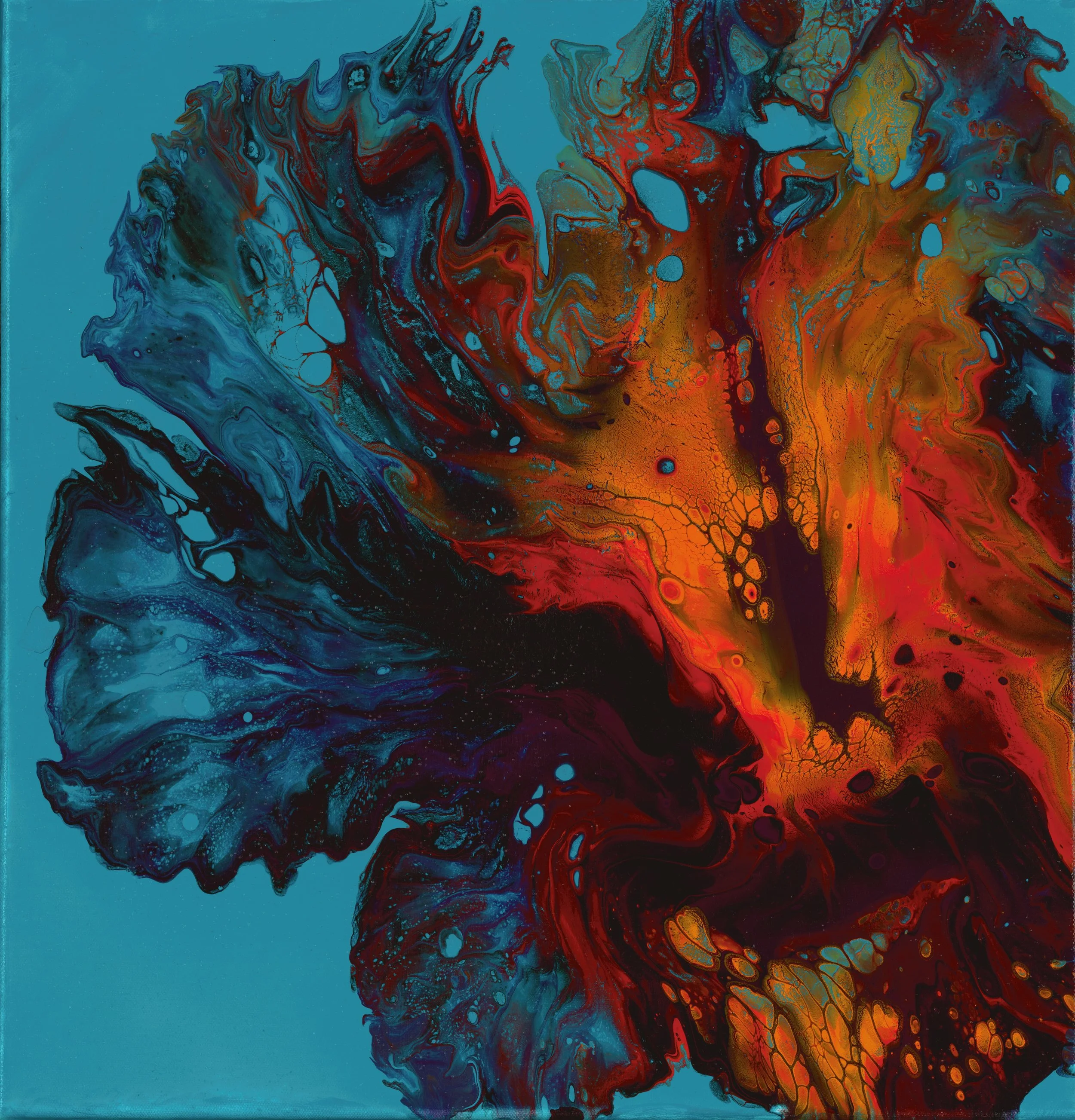 Fire Iris