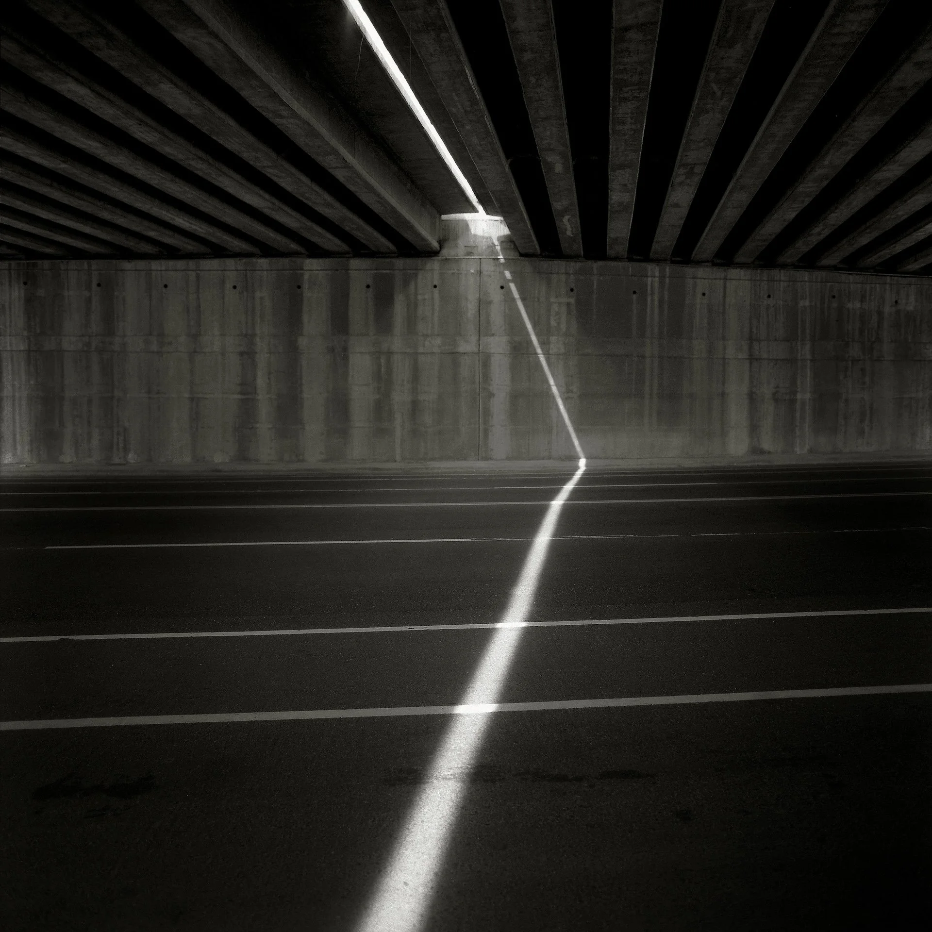 分割線 Separation 2004.JPG
