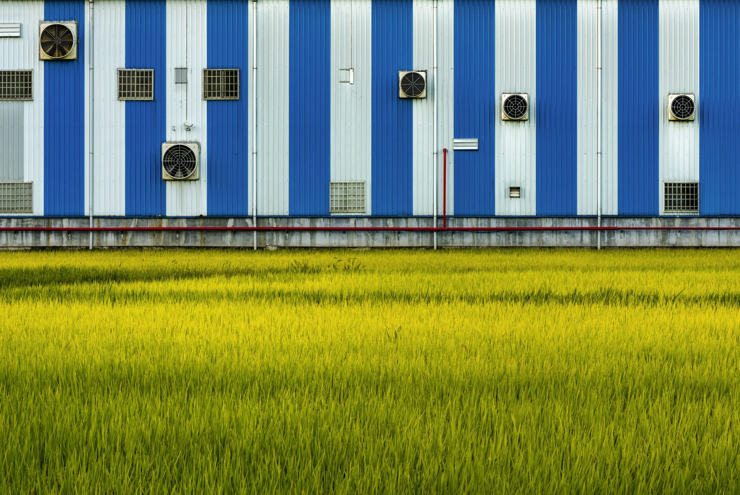 田園風光13.jpg
