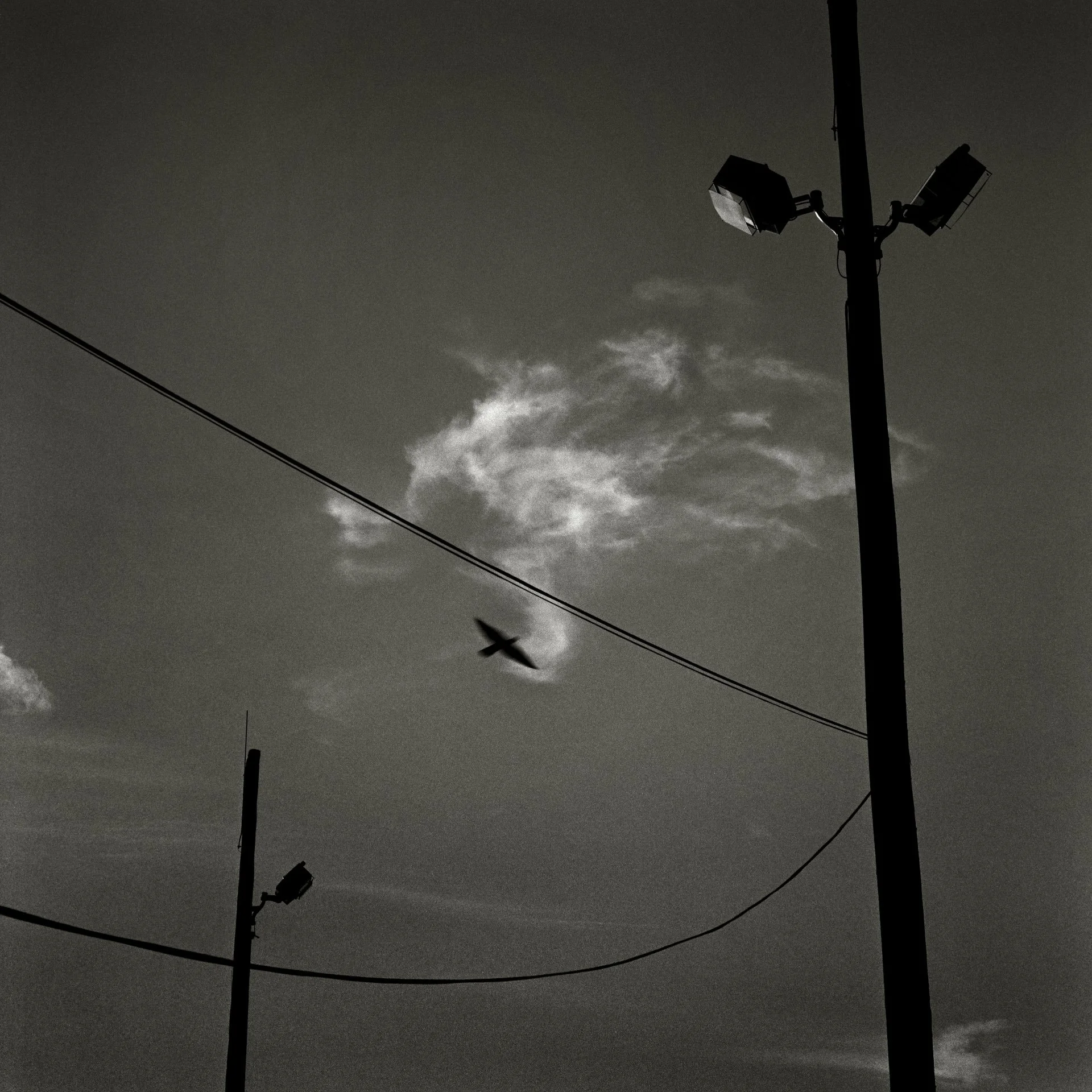 電線,鳥與雲 Wire, Bird and Cloud 1999.JPG