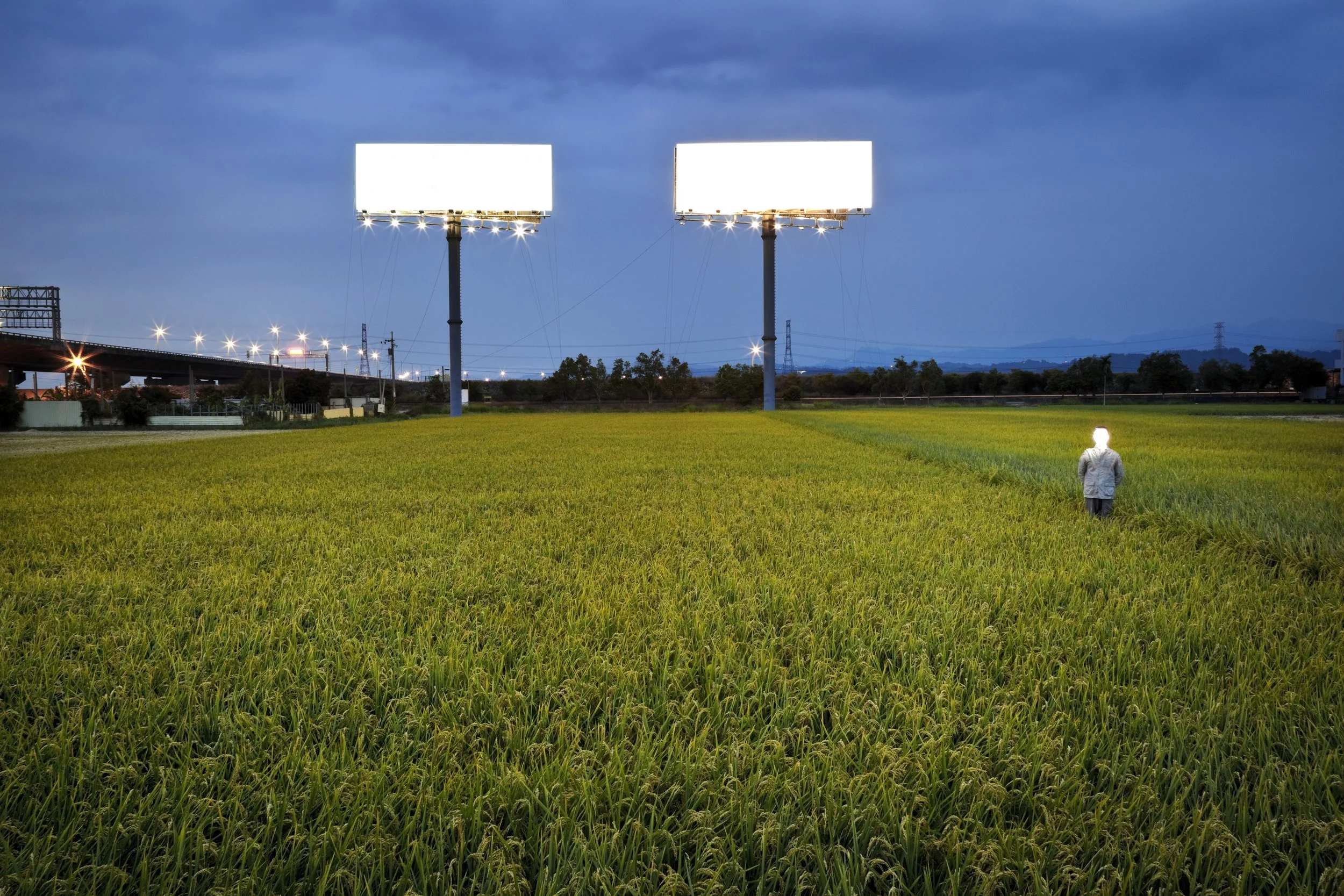 T霸與稻田 T-bar and  Rice Field 2011.jpg