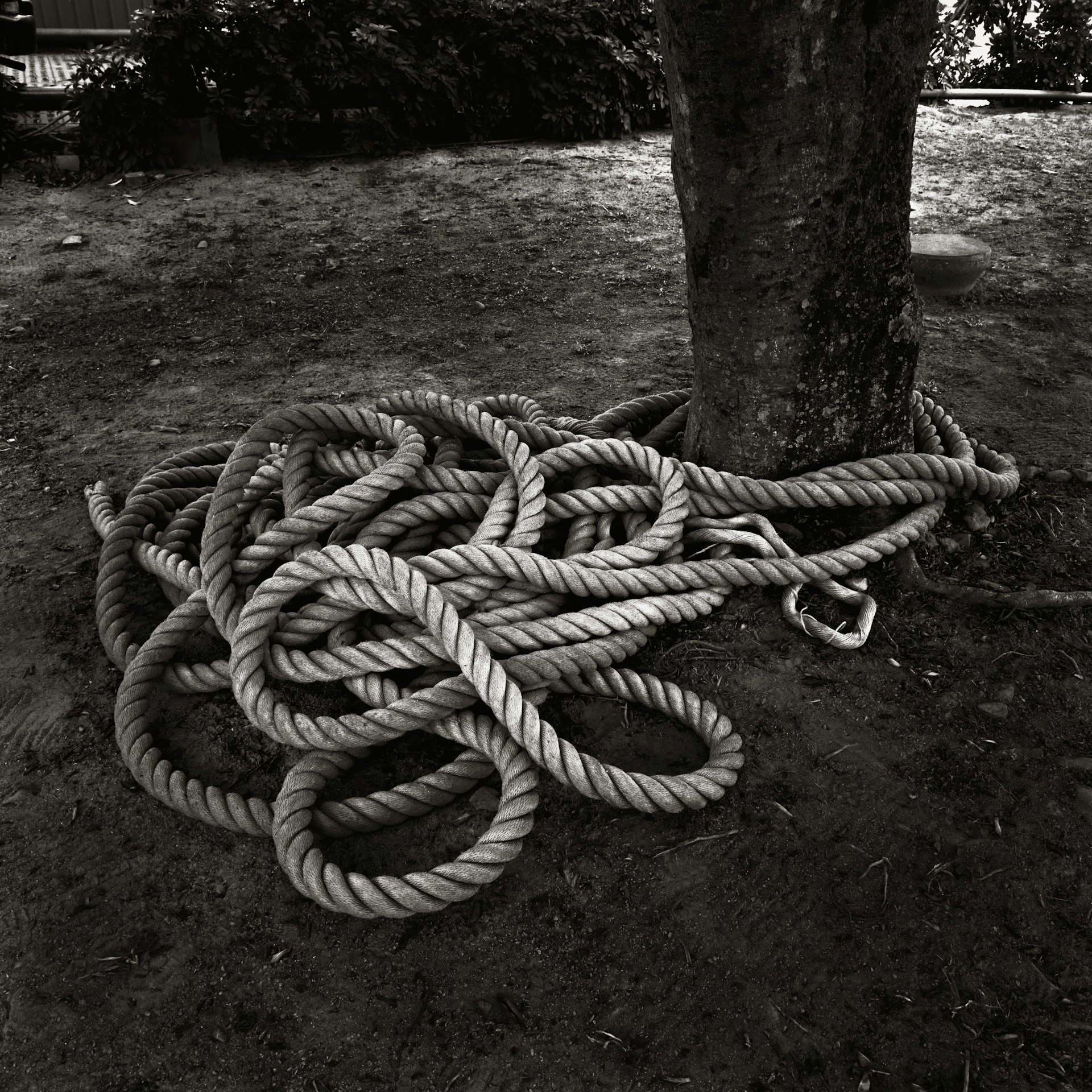 麻繩 Rope 2005.JPG