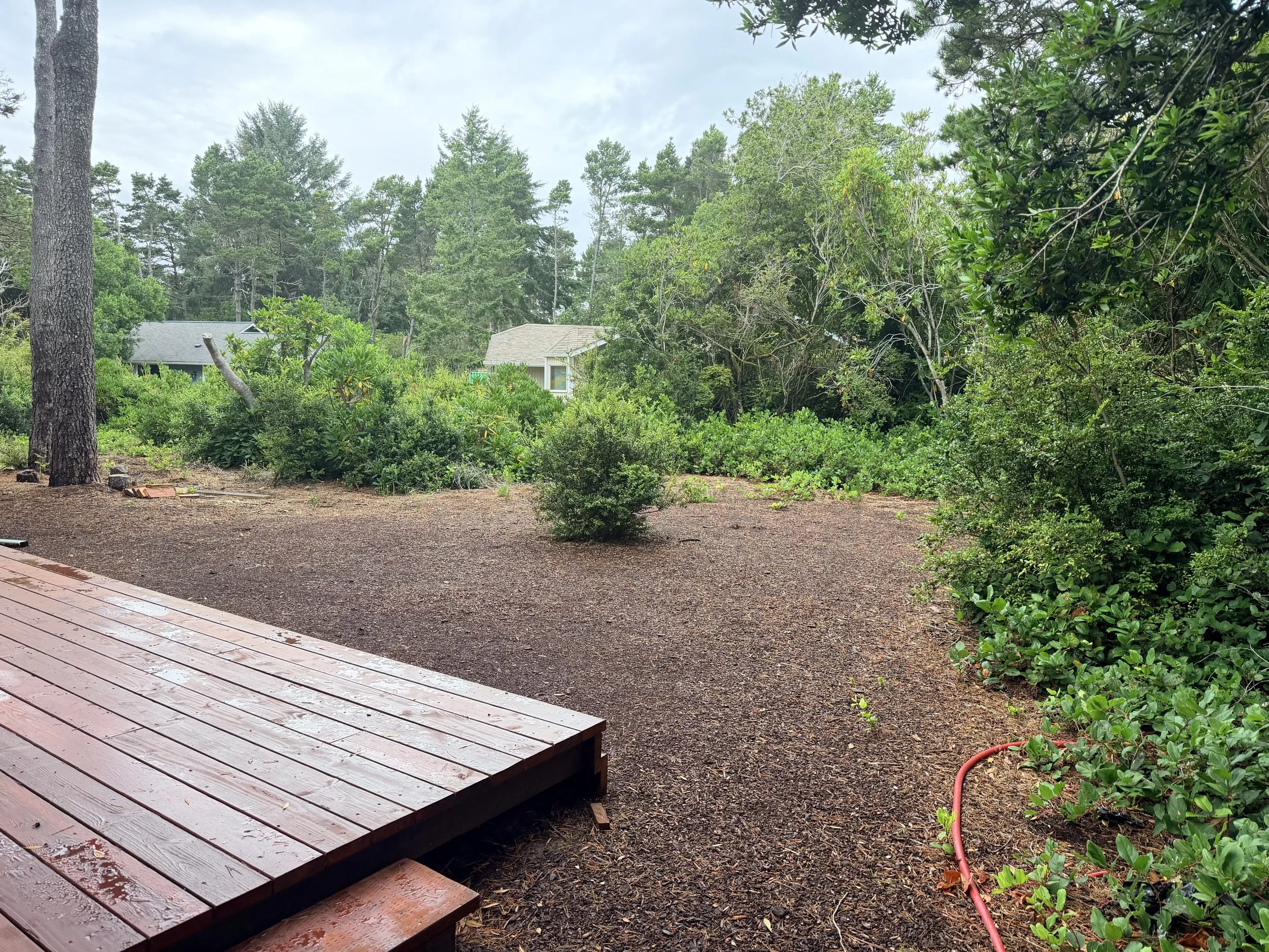 Wet wooden deck overlooking a landscaped wooded yard with dense greenery, trees, and neighboring houses