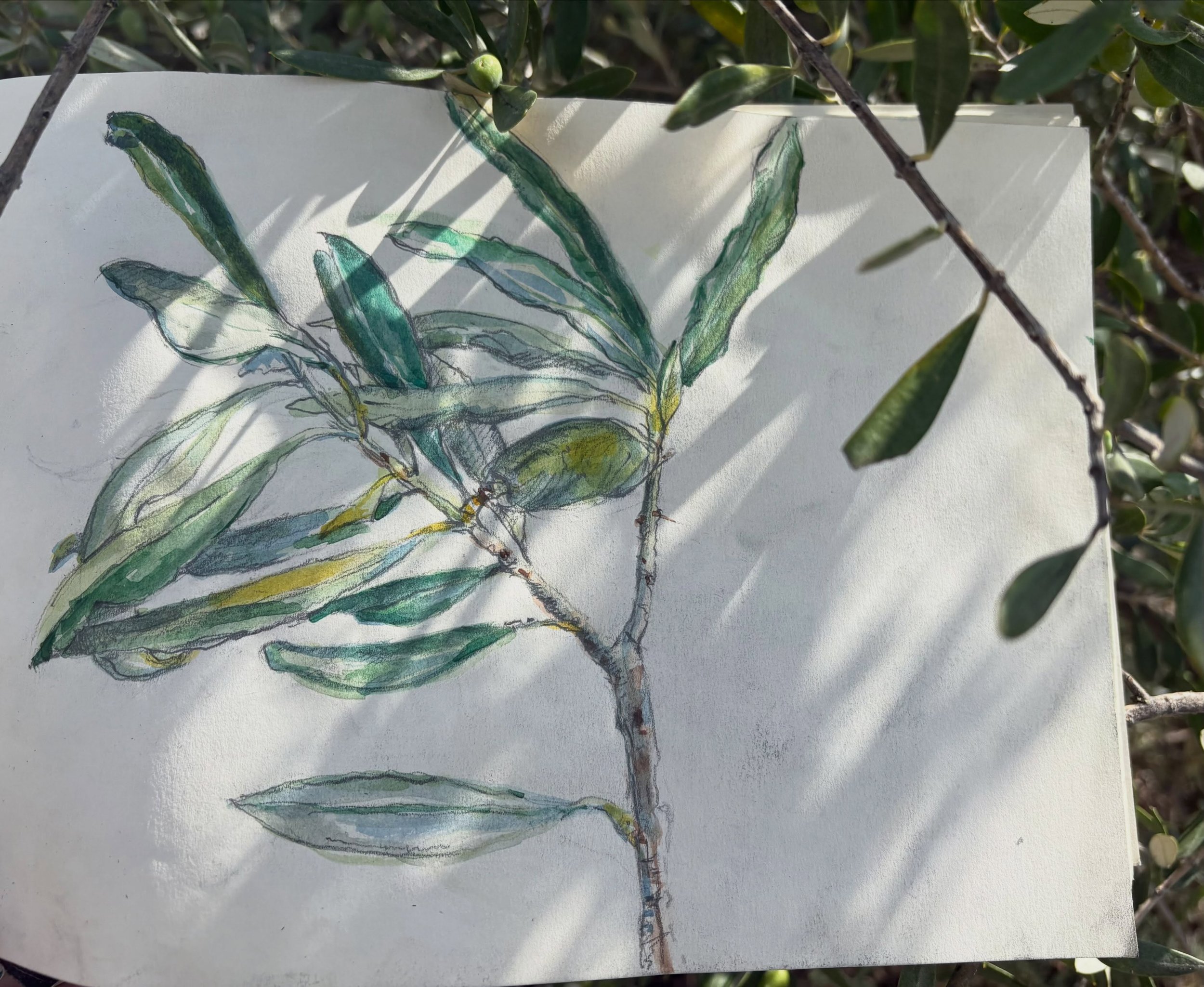 Today holiday drawings- Crete
