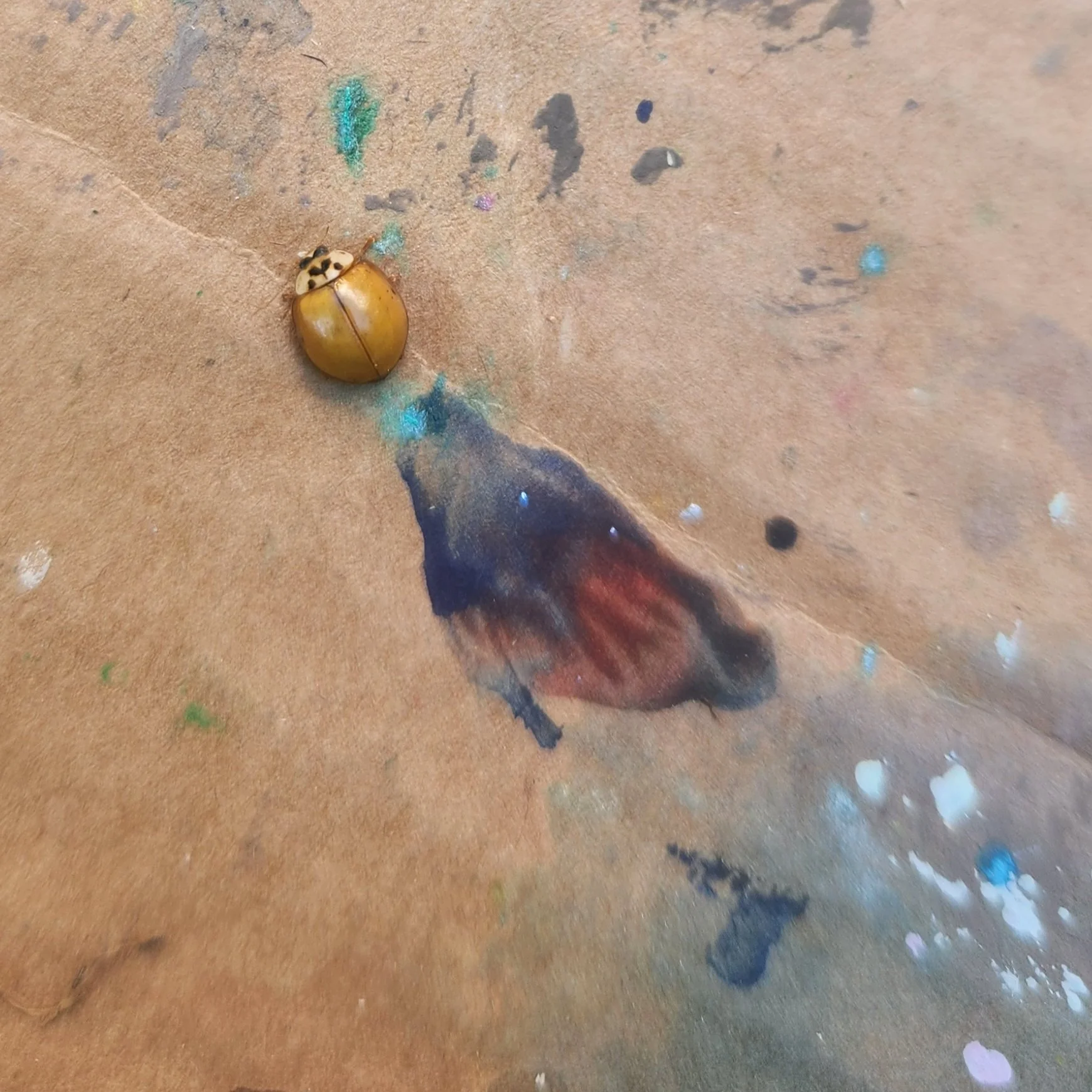 More art creations to come!
