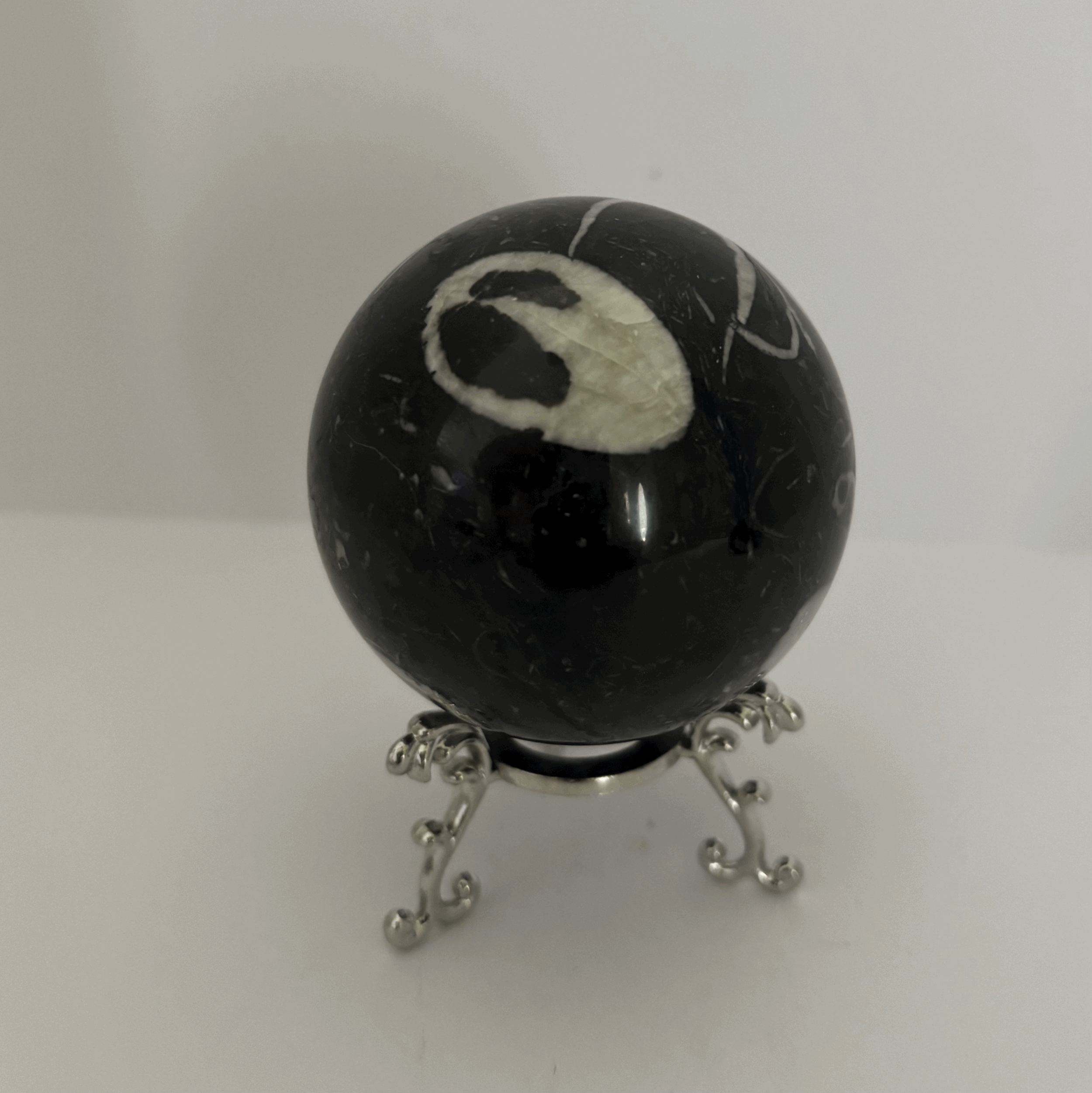 tempImageeojwle.gif