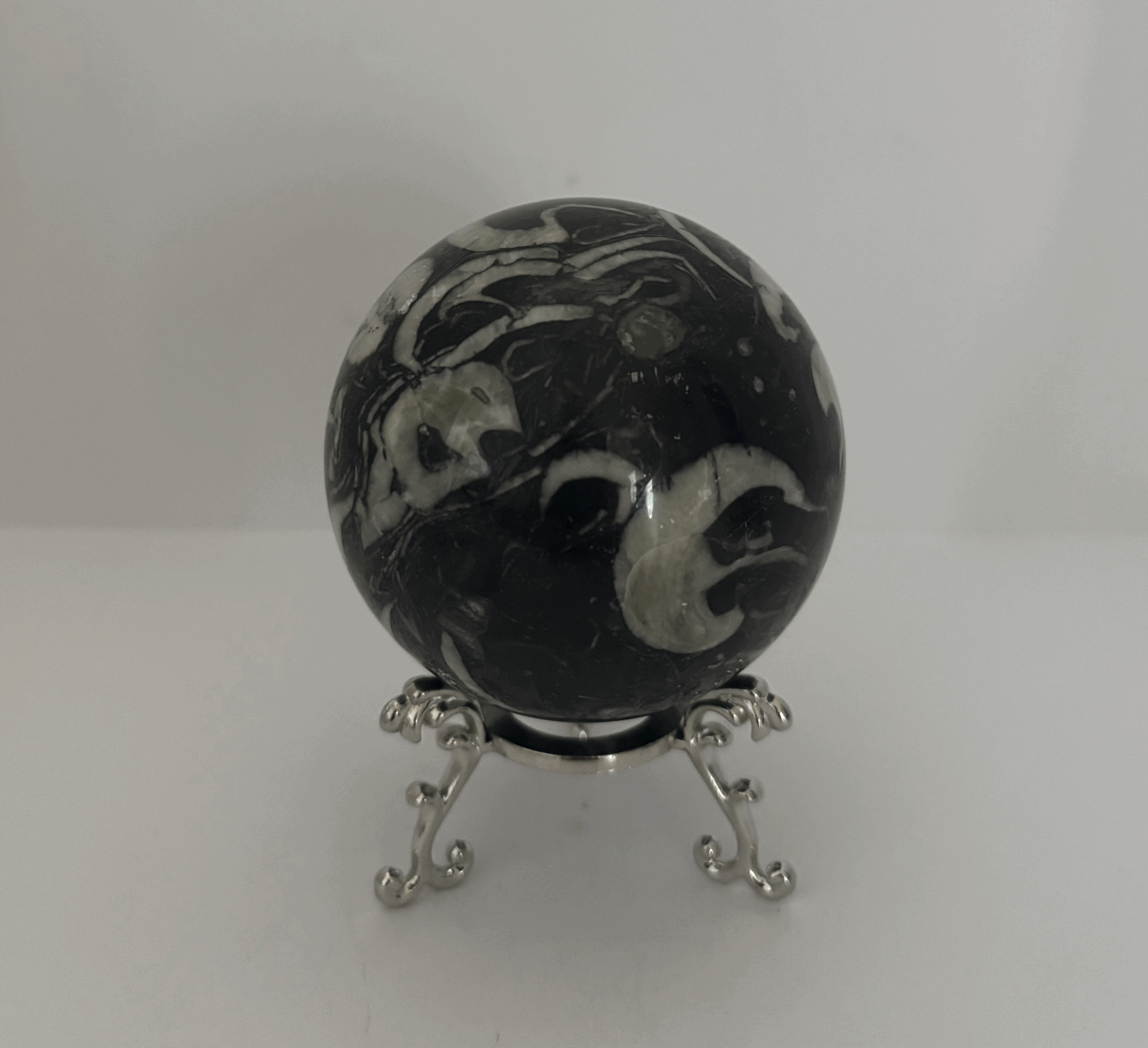 Shell Jasper Sphere