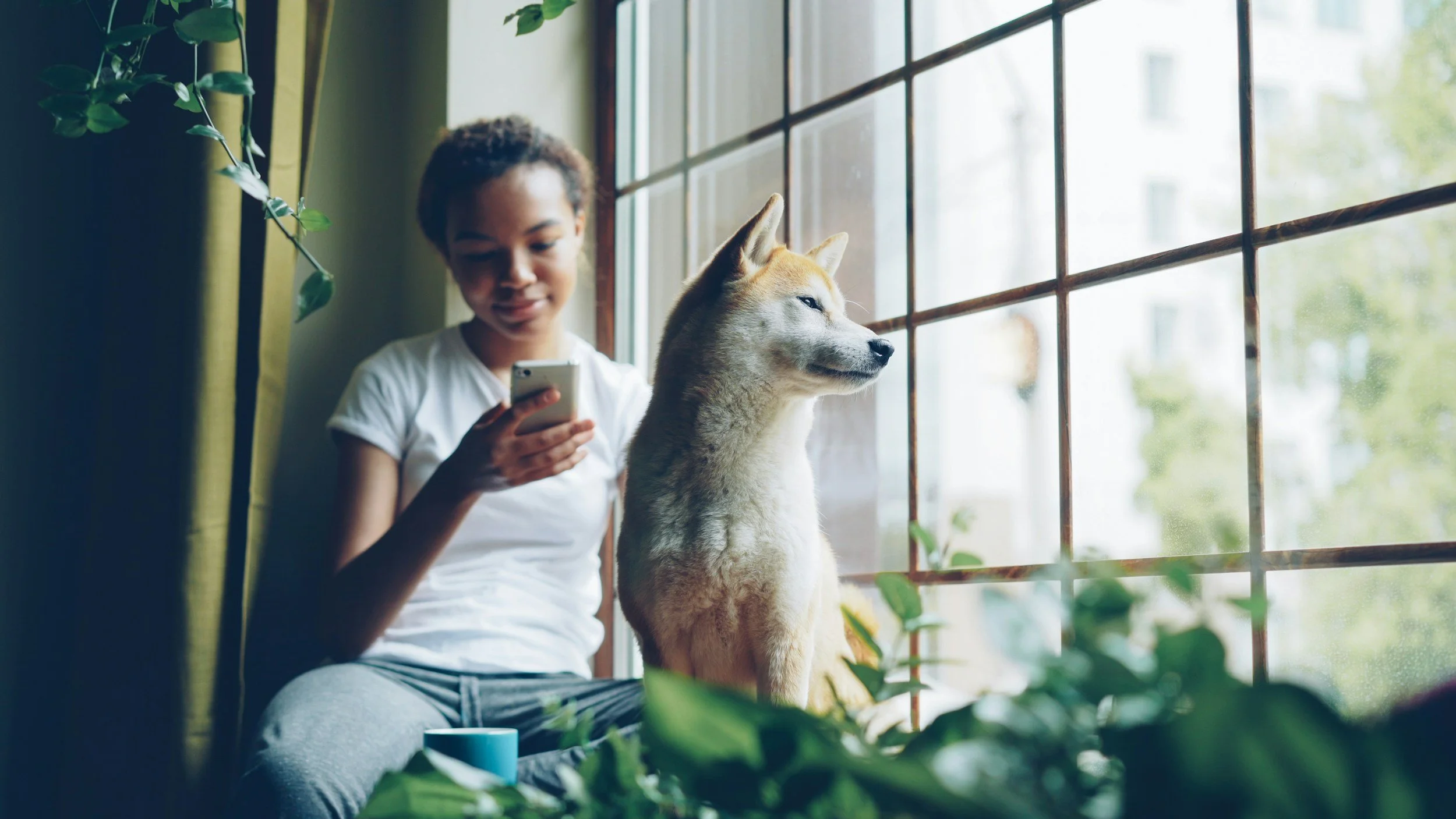 A young woman sitting by a large window with a husky dog, looking at her phone. Green plants are around, and sunlight illuminates the scene.