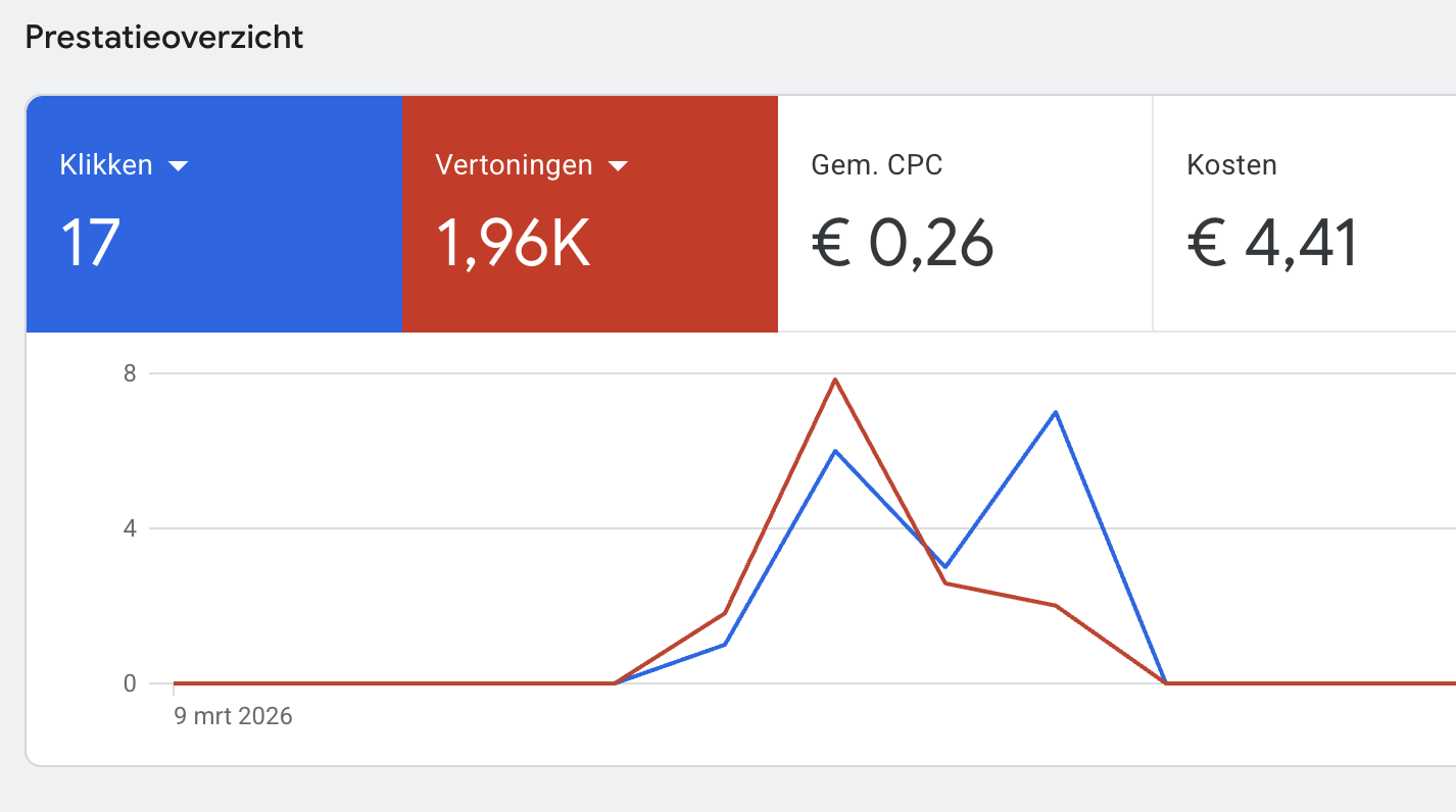 Google Ads-campagne en online resultaten