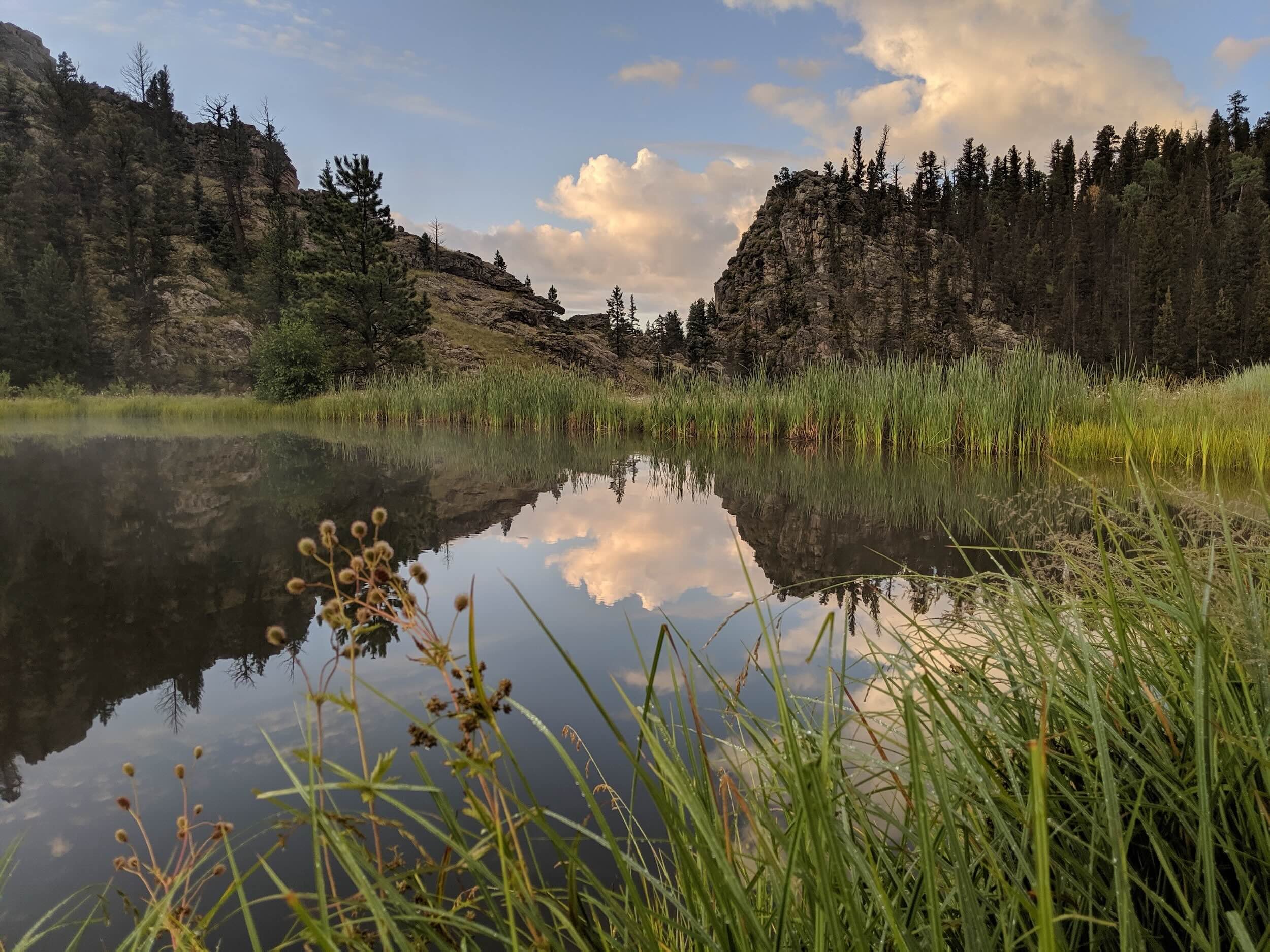 Reflective lake at Vallecitos surrounded by green grass and wildflowers in the foreground, with rocky hills and pine trees on either side under a partly cloudy sky.
