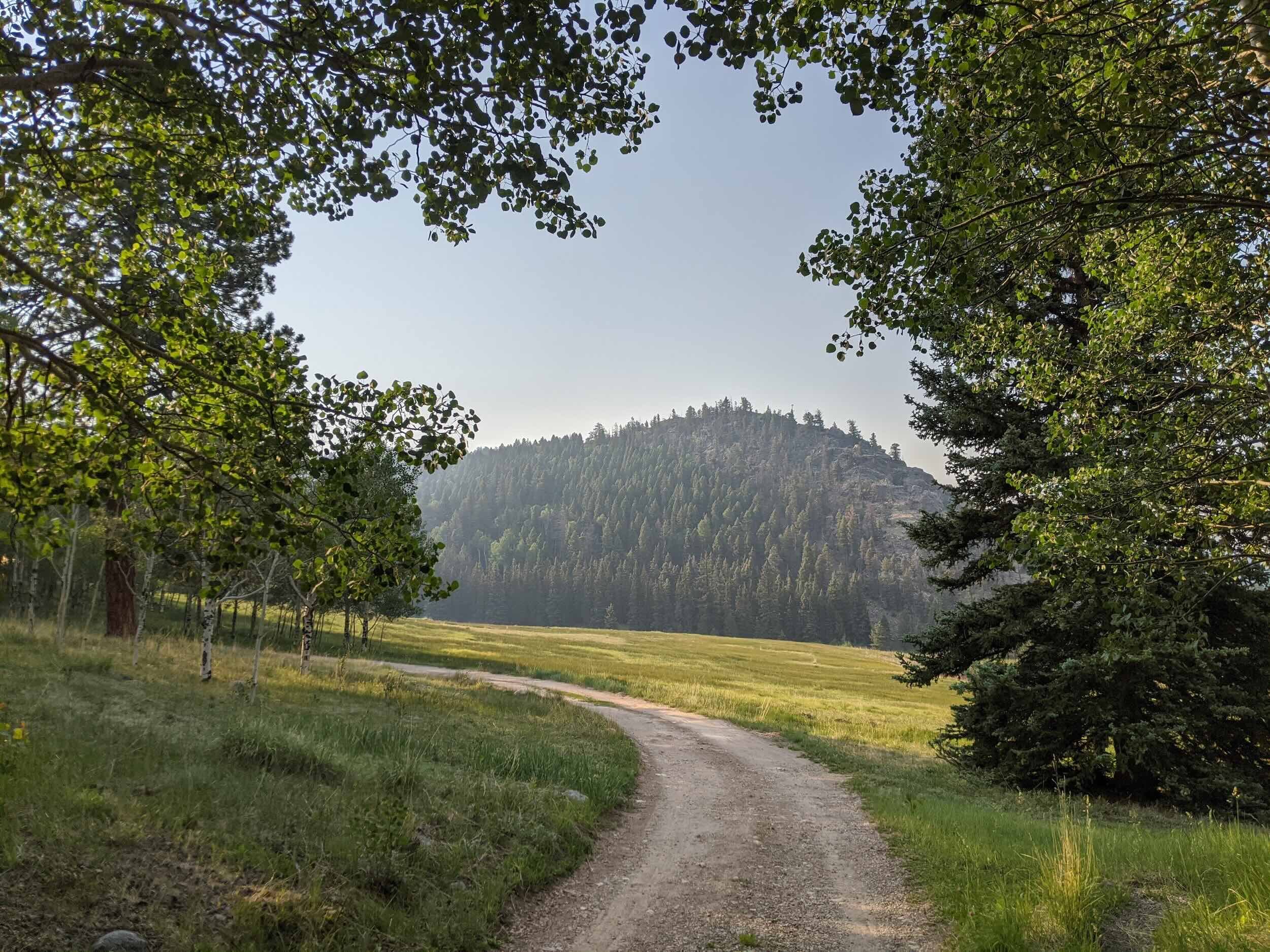 A dirt trail at Vallecitos winding through a lush green field surrounded by trees, with a mountain in the background and a clear blue sky overhead.