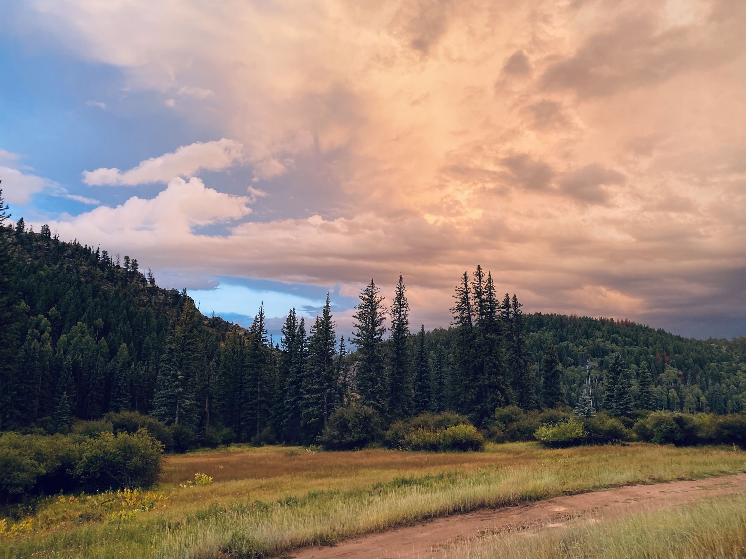 A scenic landscape at Vallecitos with a forested hillside, tall pine trees, and a sky filled with pink and orange clouds at sunset.