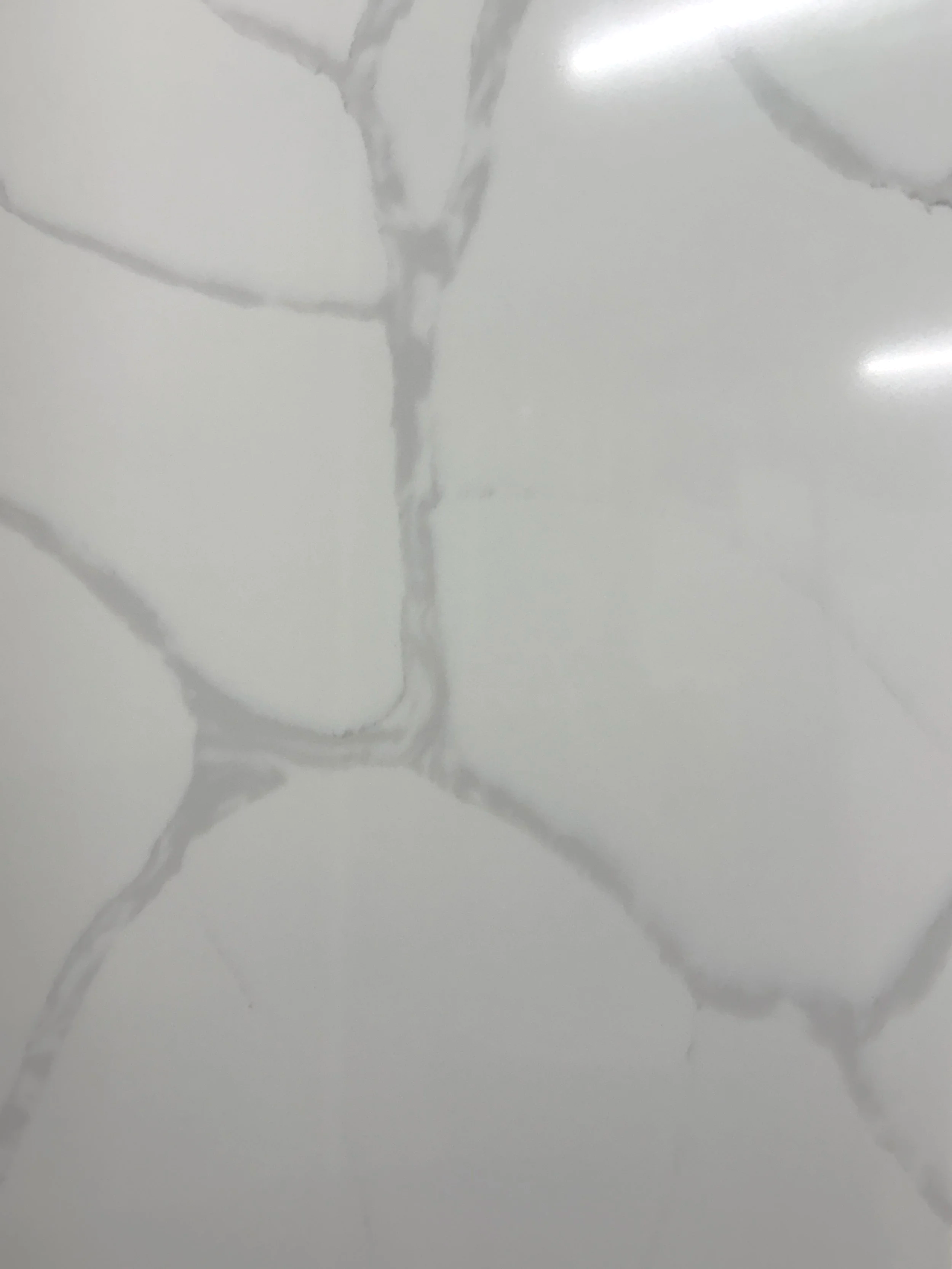 Calacatta Infinita