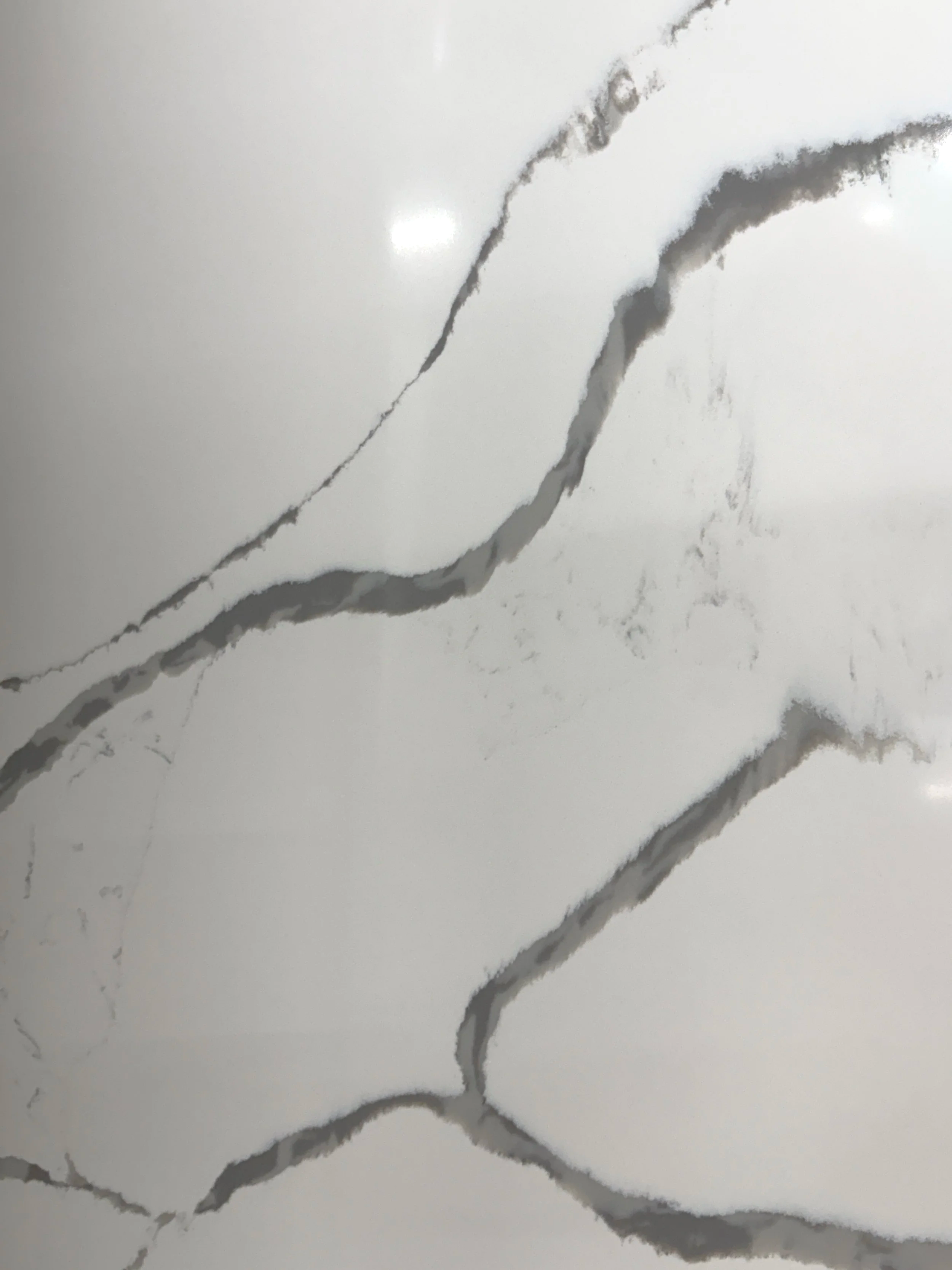 Calacatta Silver Vein