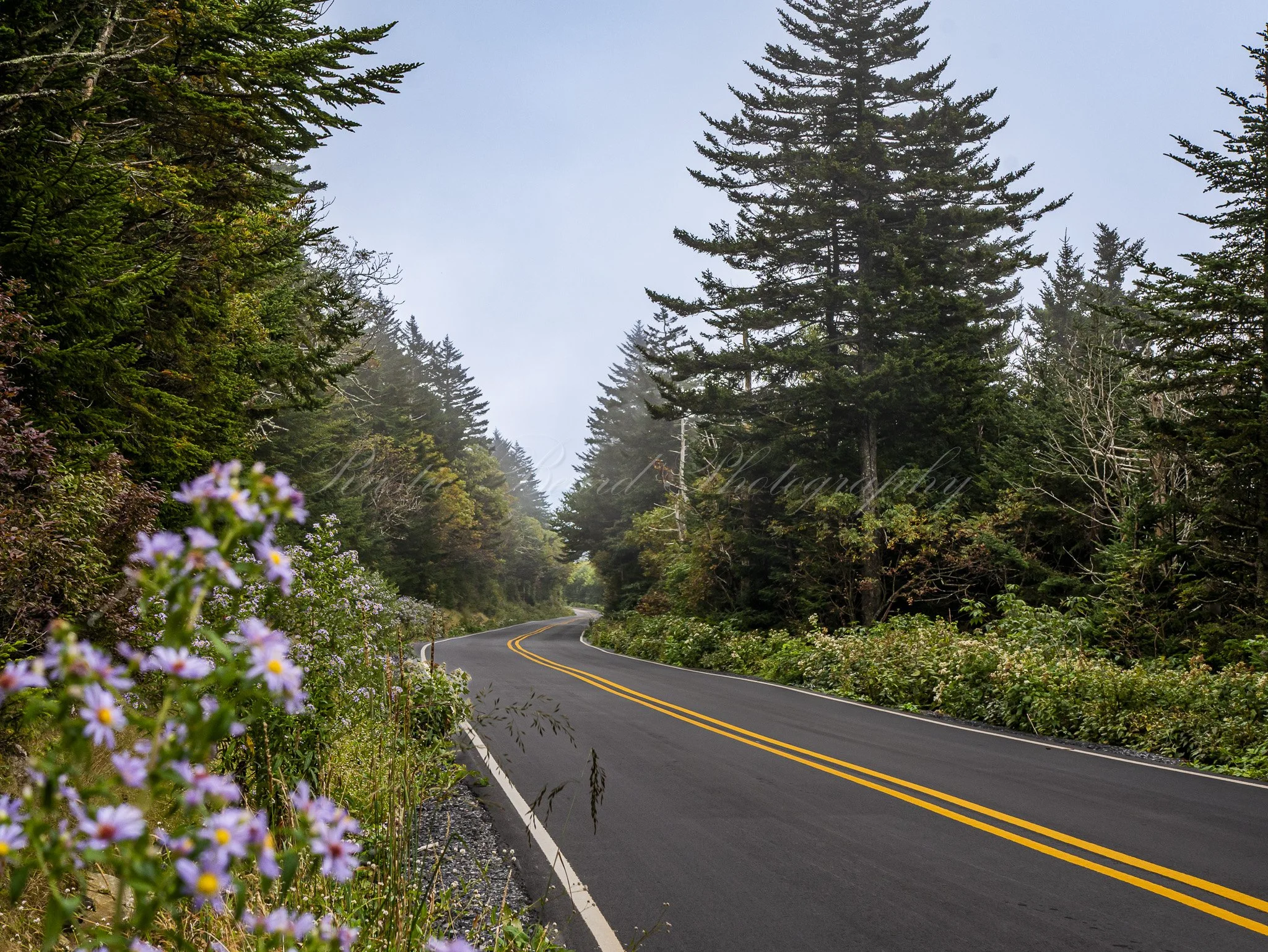 Roadway to Heaven