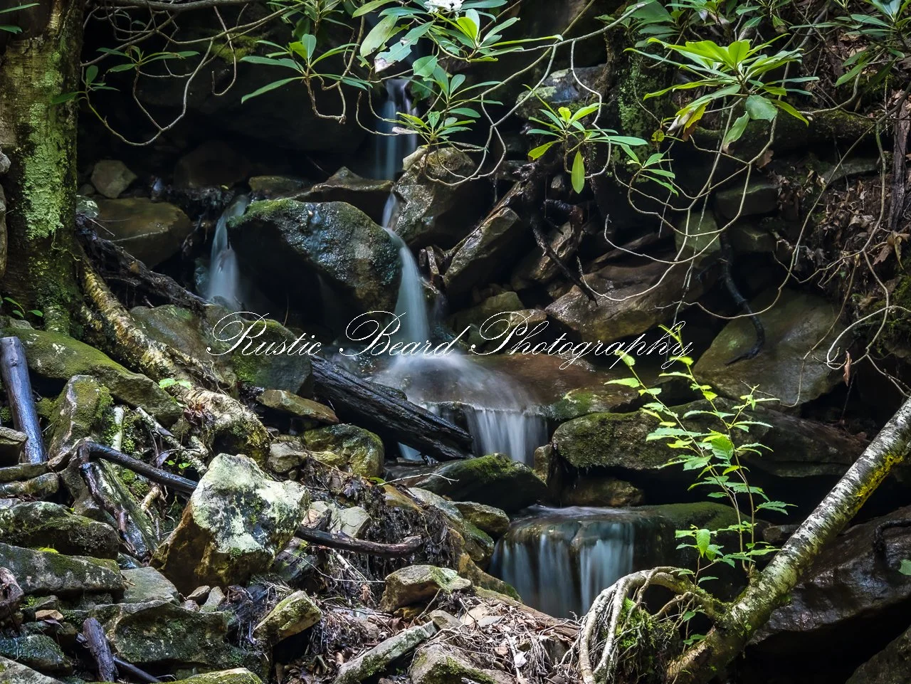 Mountain Side Creek