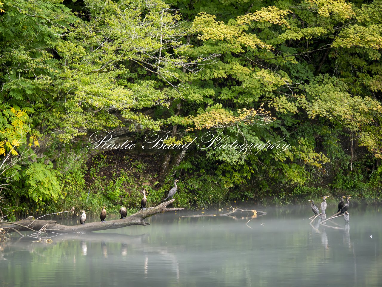 River Life