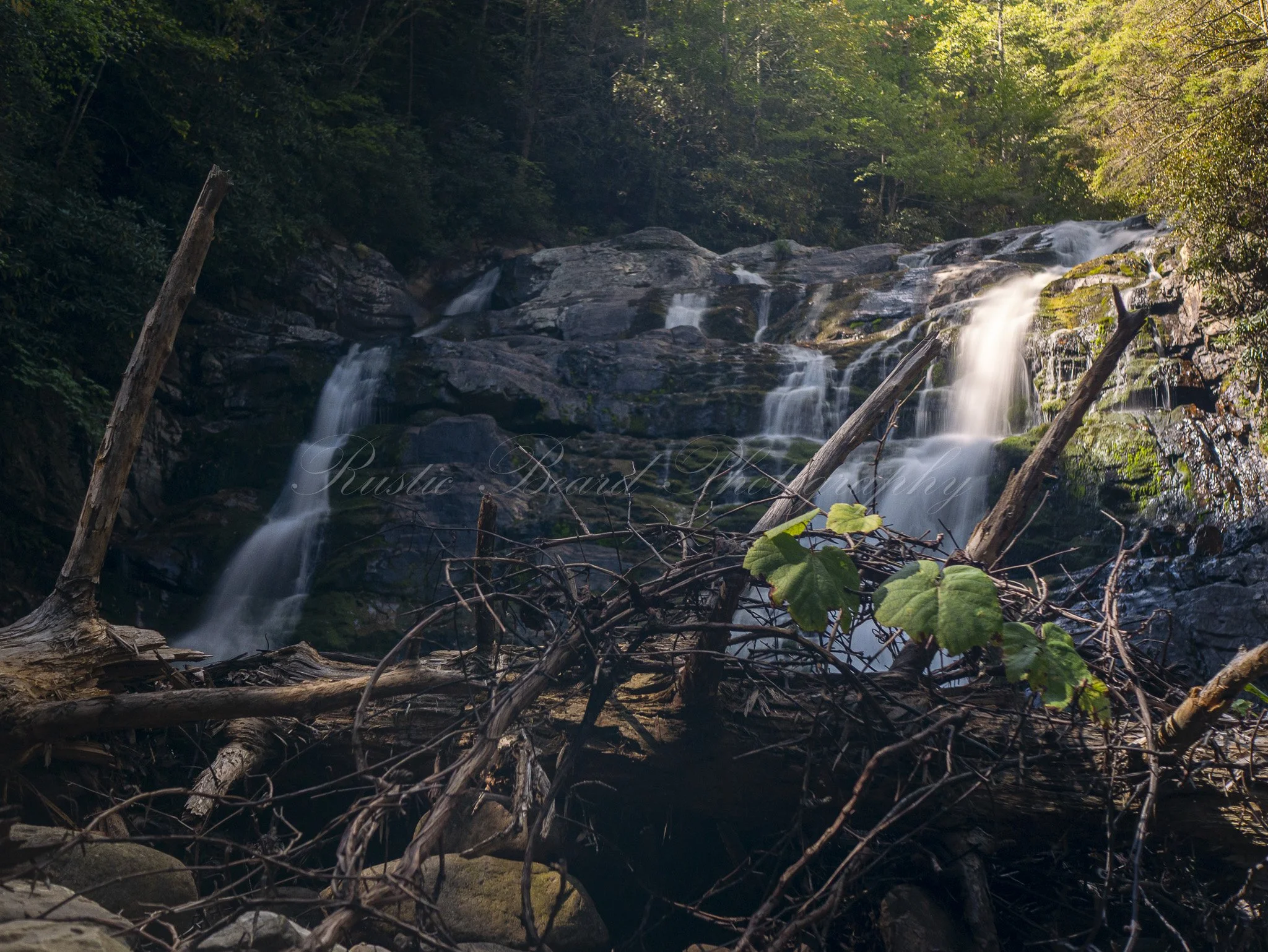 Laurel Falls 2