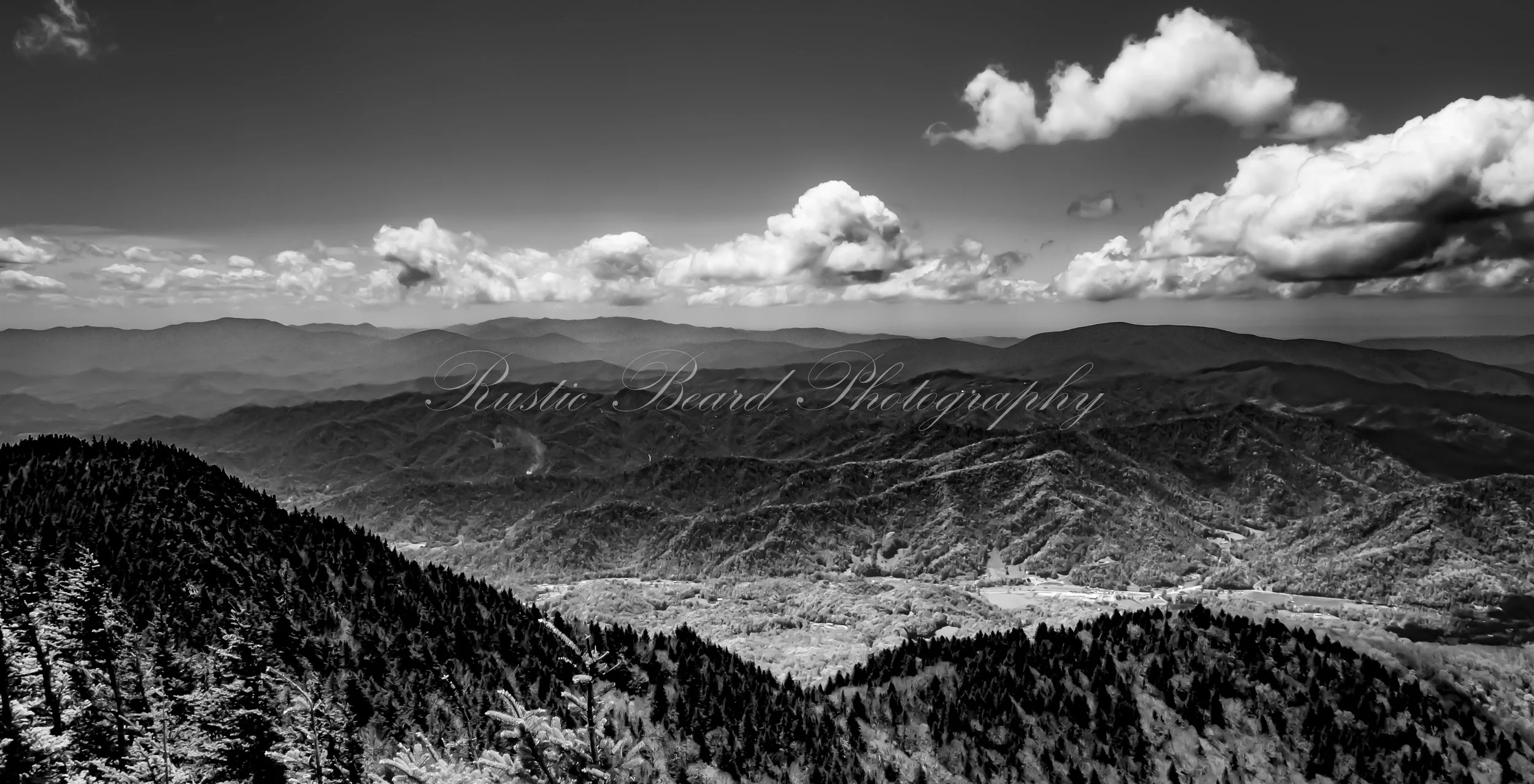 Roan Mountain High