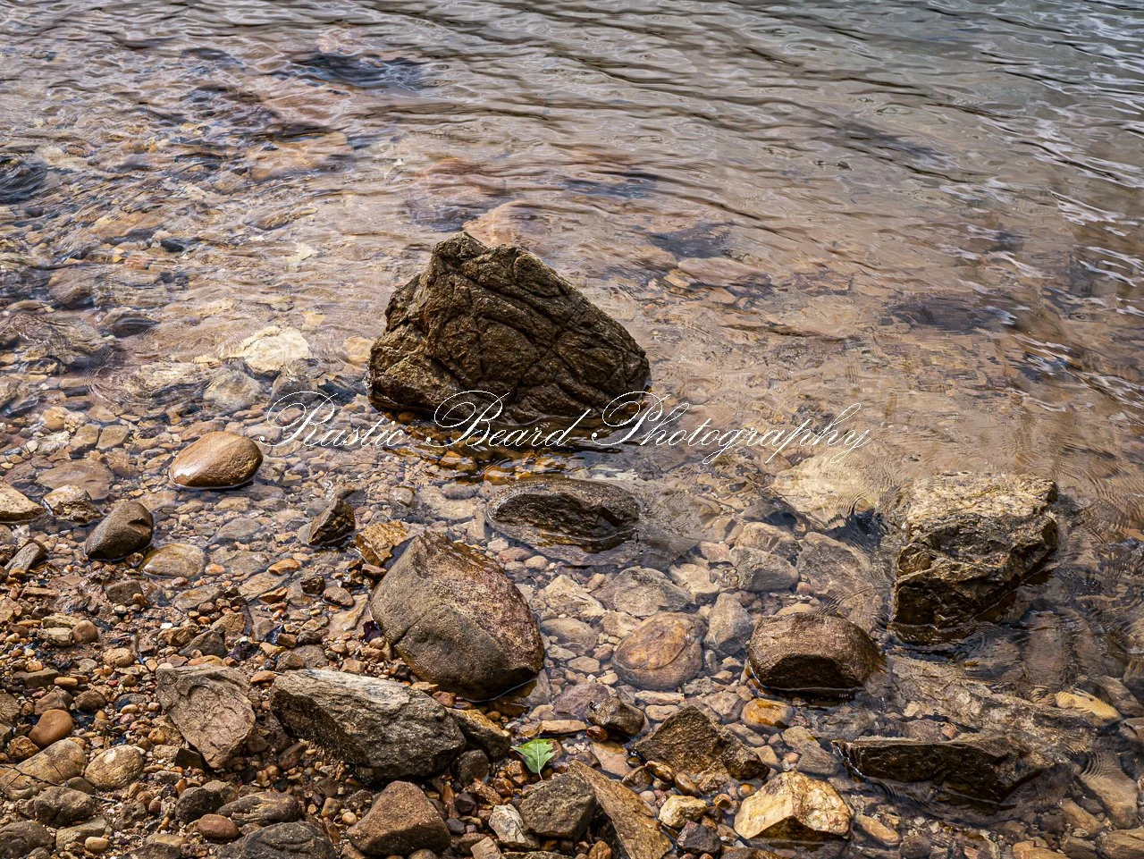 Calming Shore