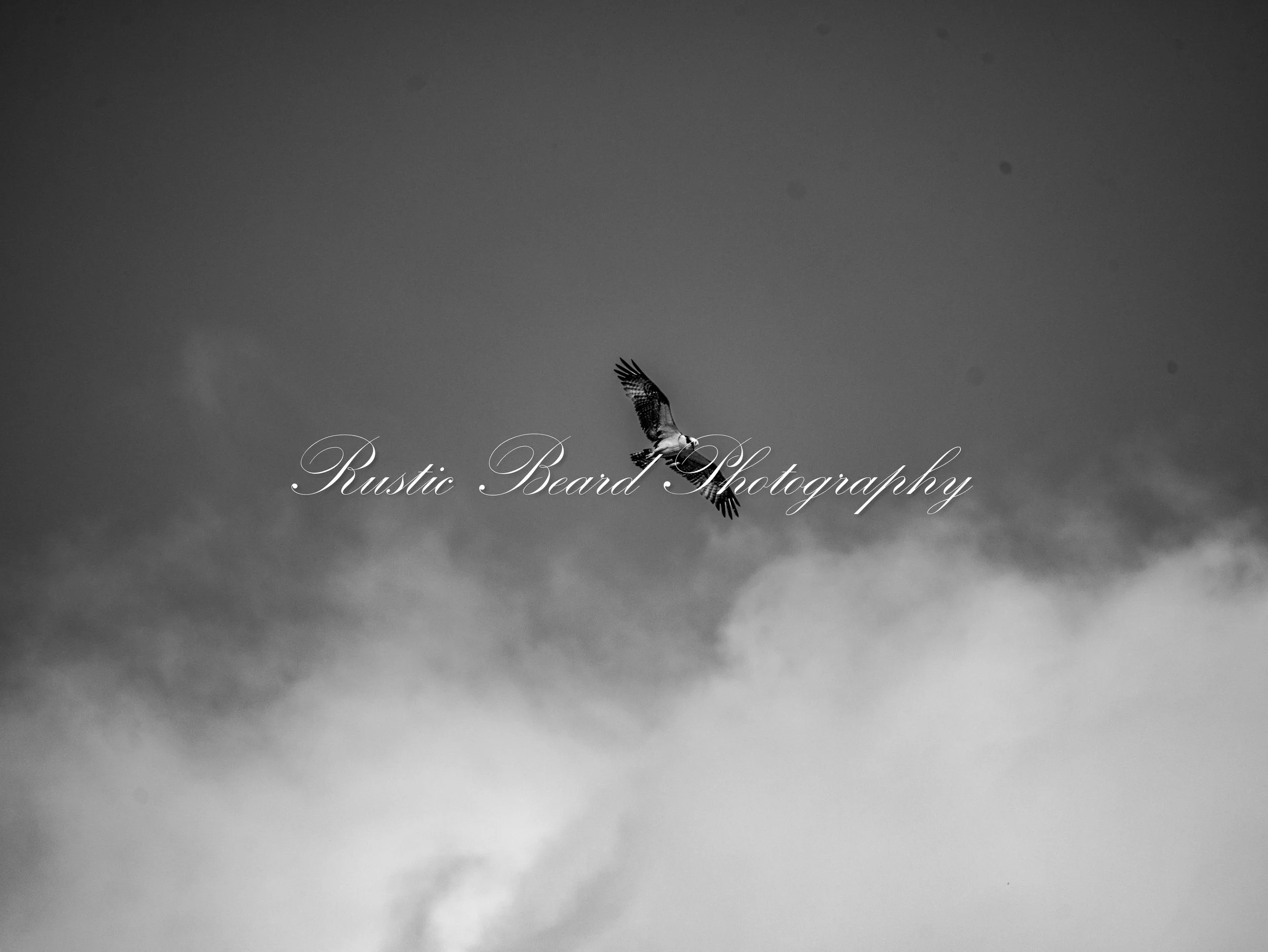 Soar High