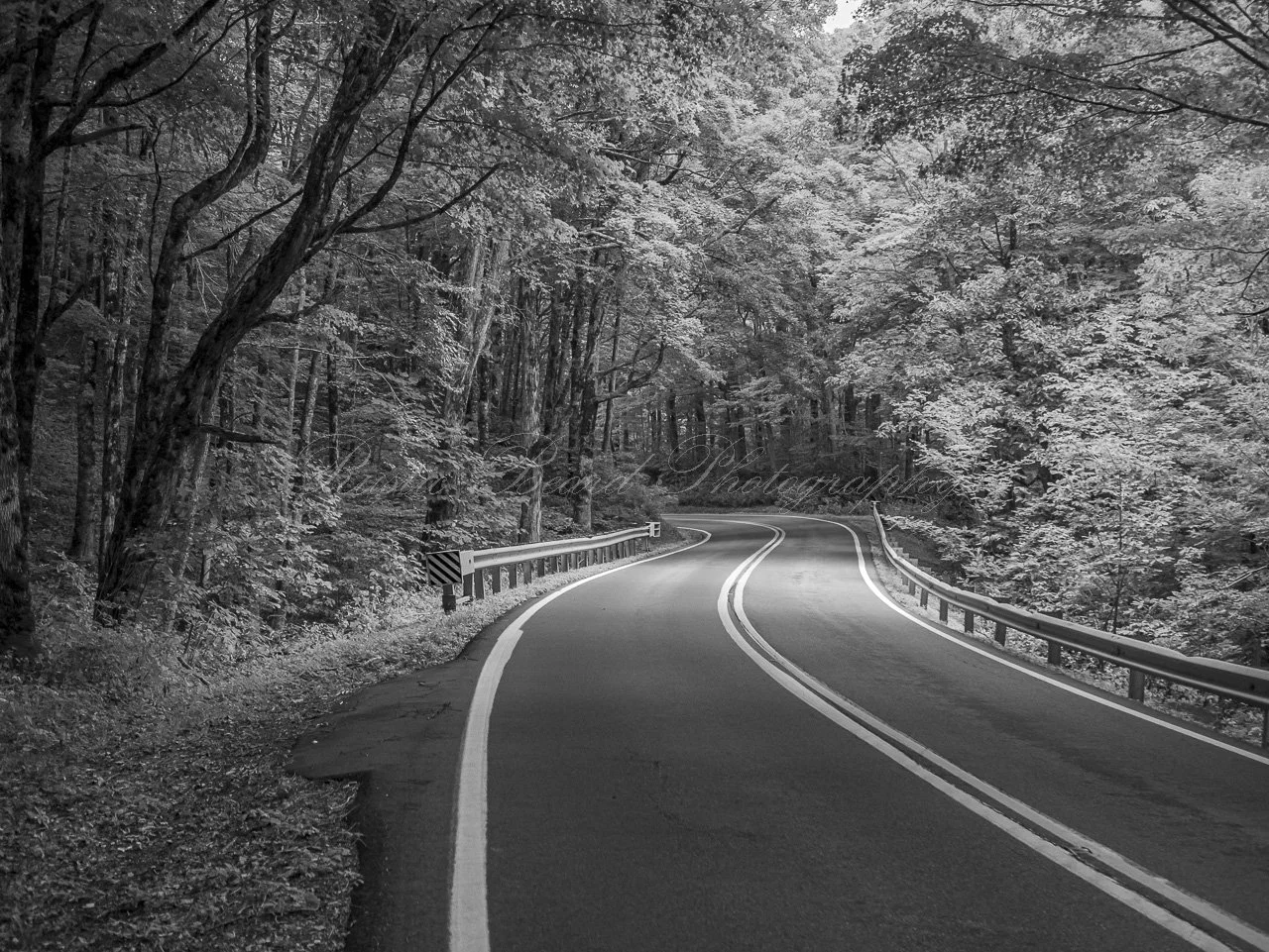 Appalachian Way